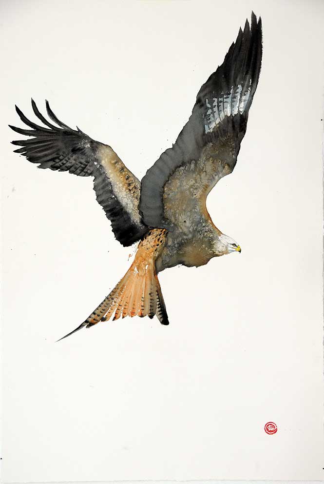 Karl Martens, Red Kite