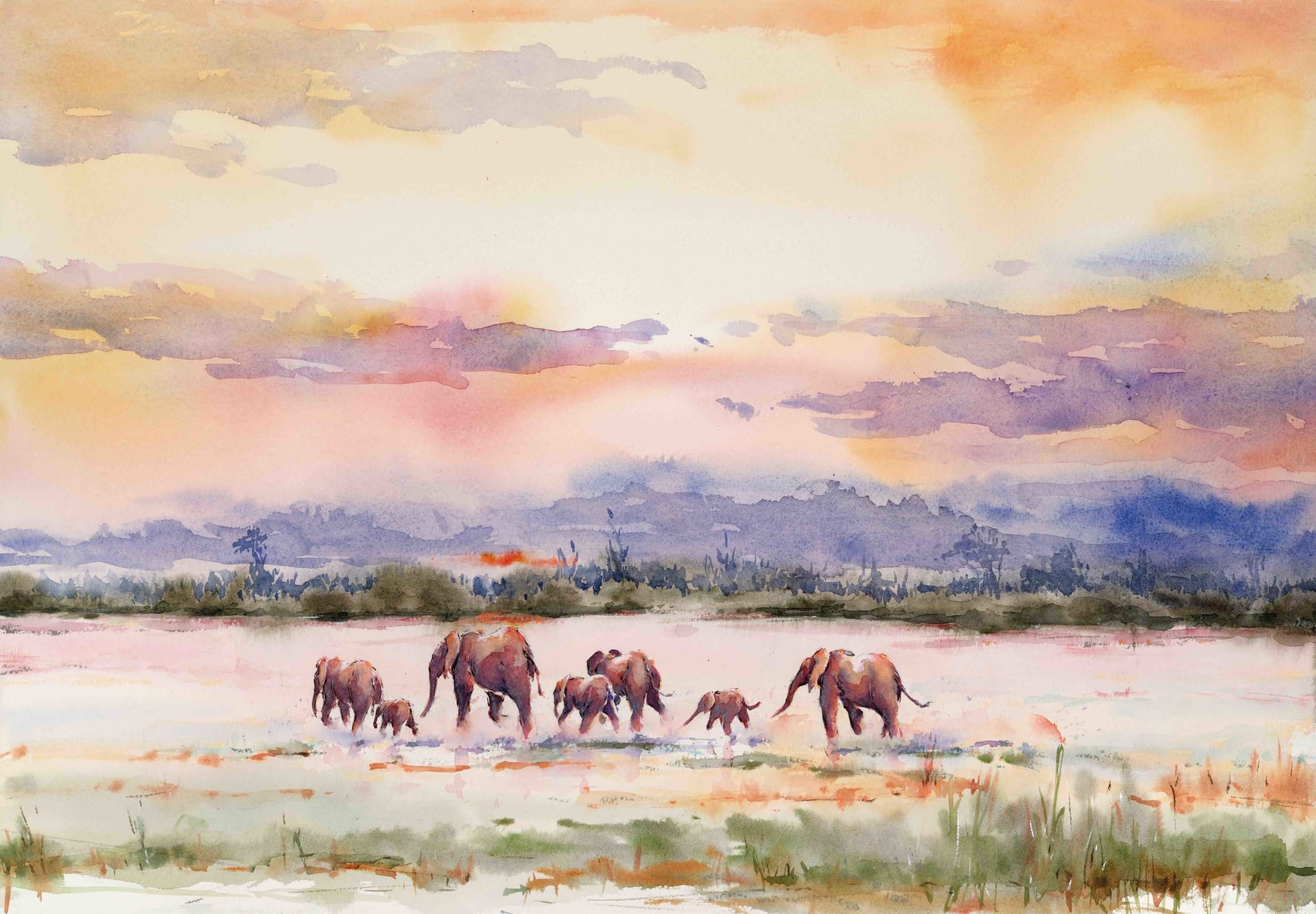 Julia Cassels, Elephants at Sundown