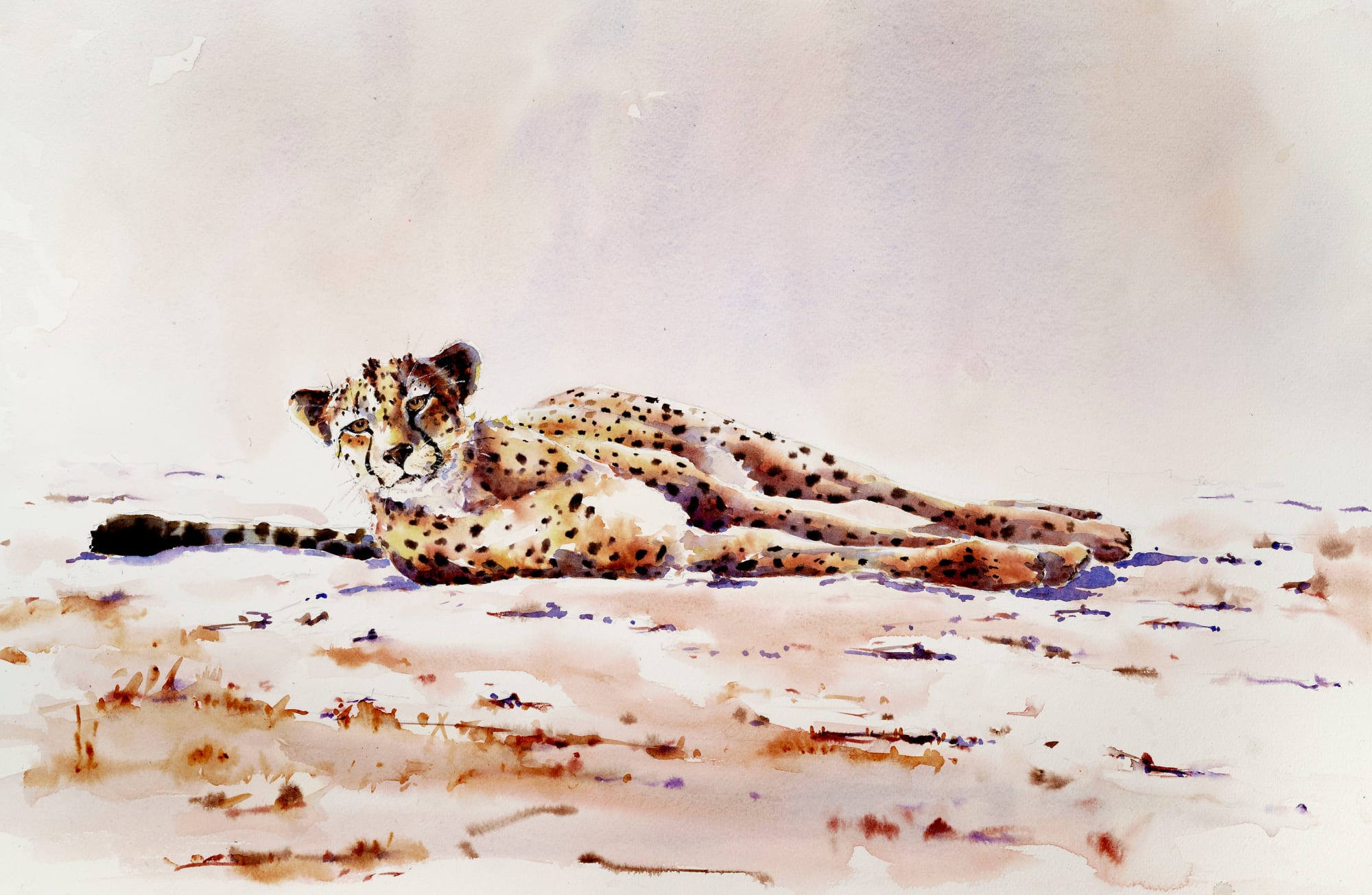 Julia Cassels, Awake