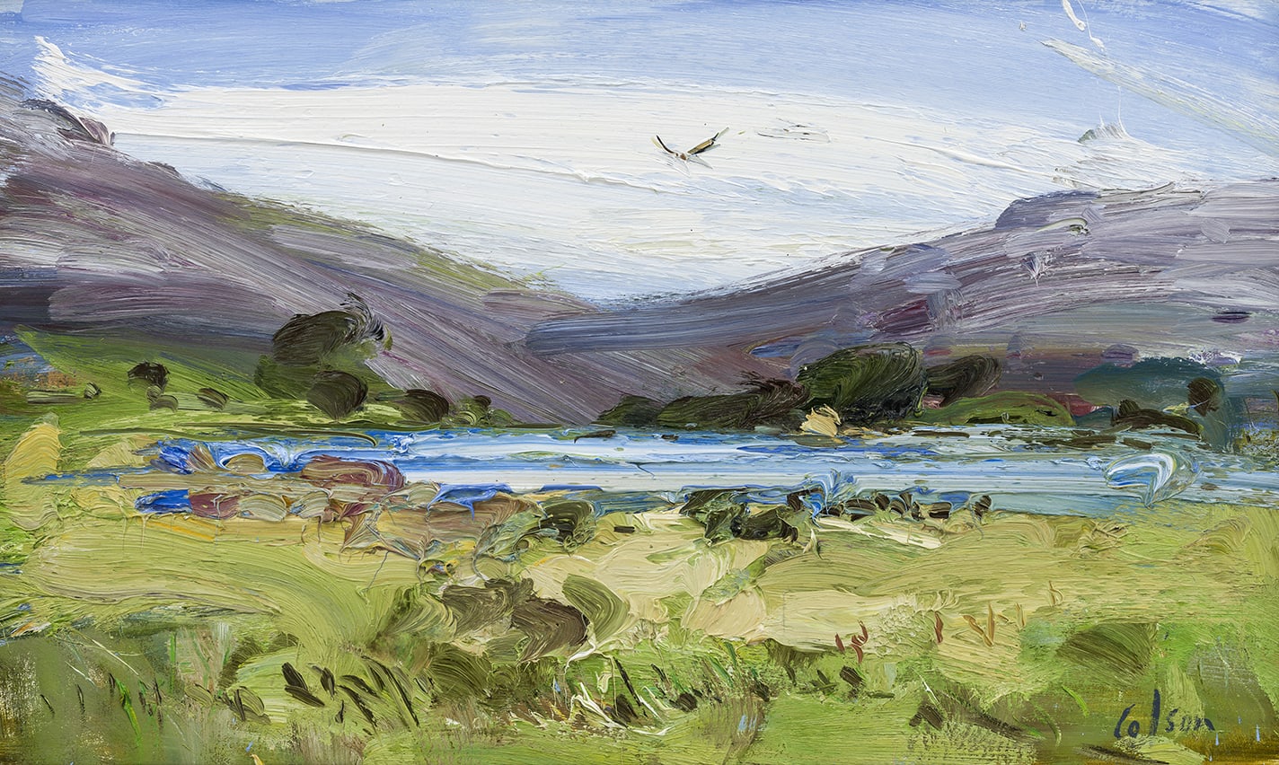 Richard Colson, Hovering Bird on a Loch