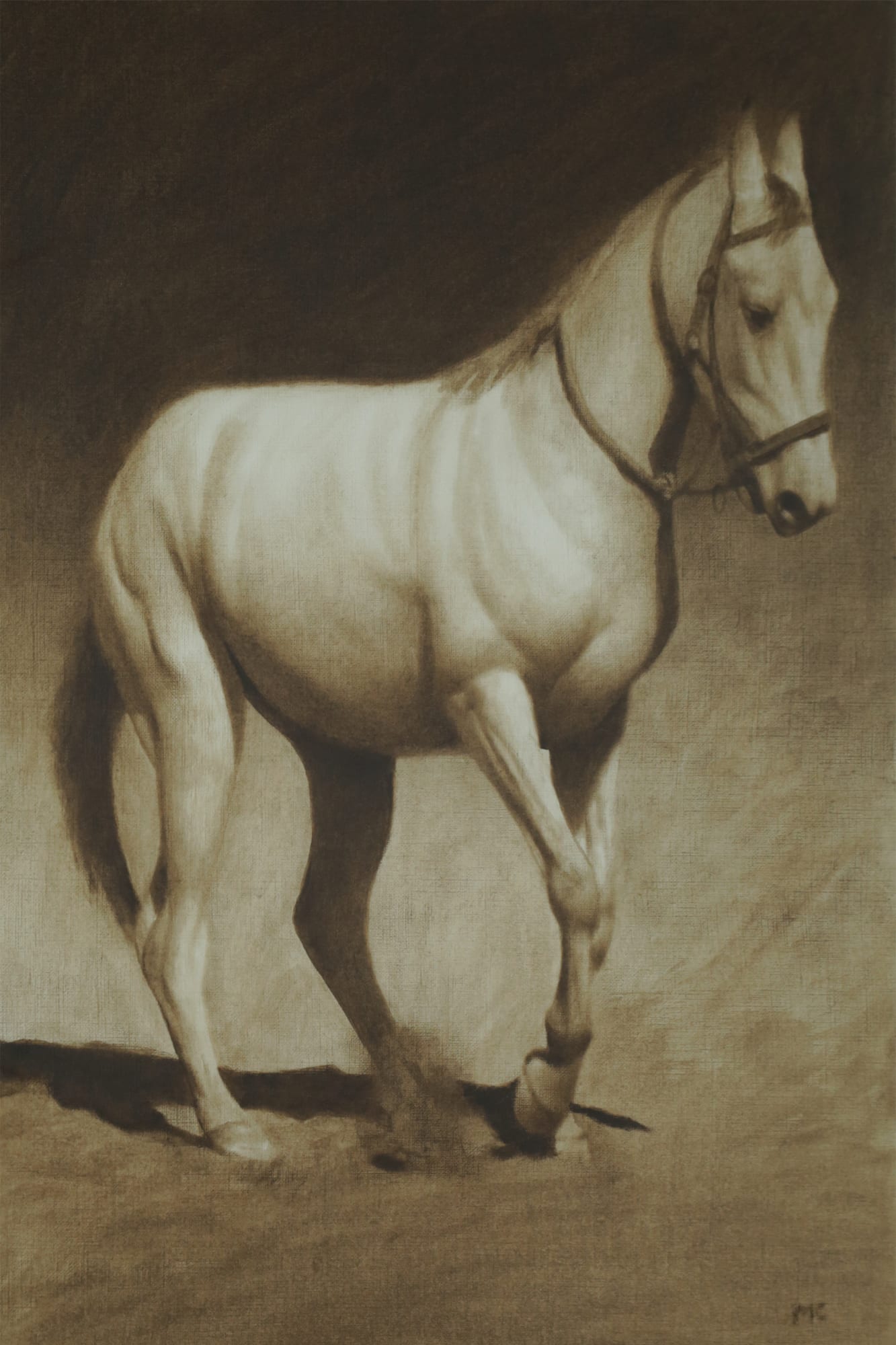 Mark Clark, Marwari Horse
