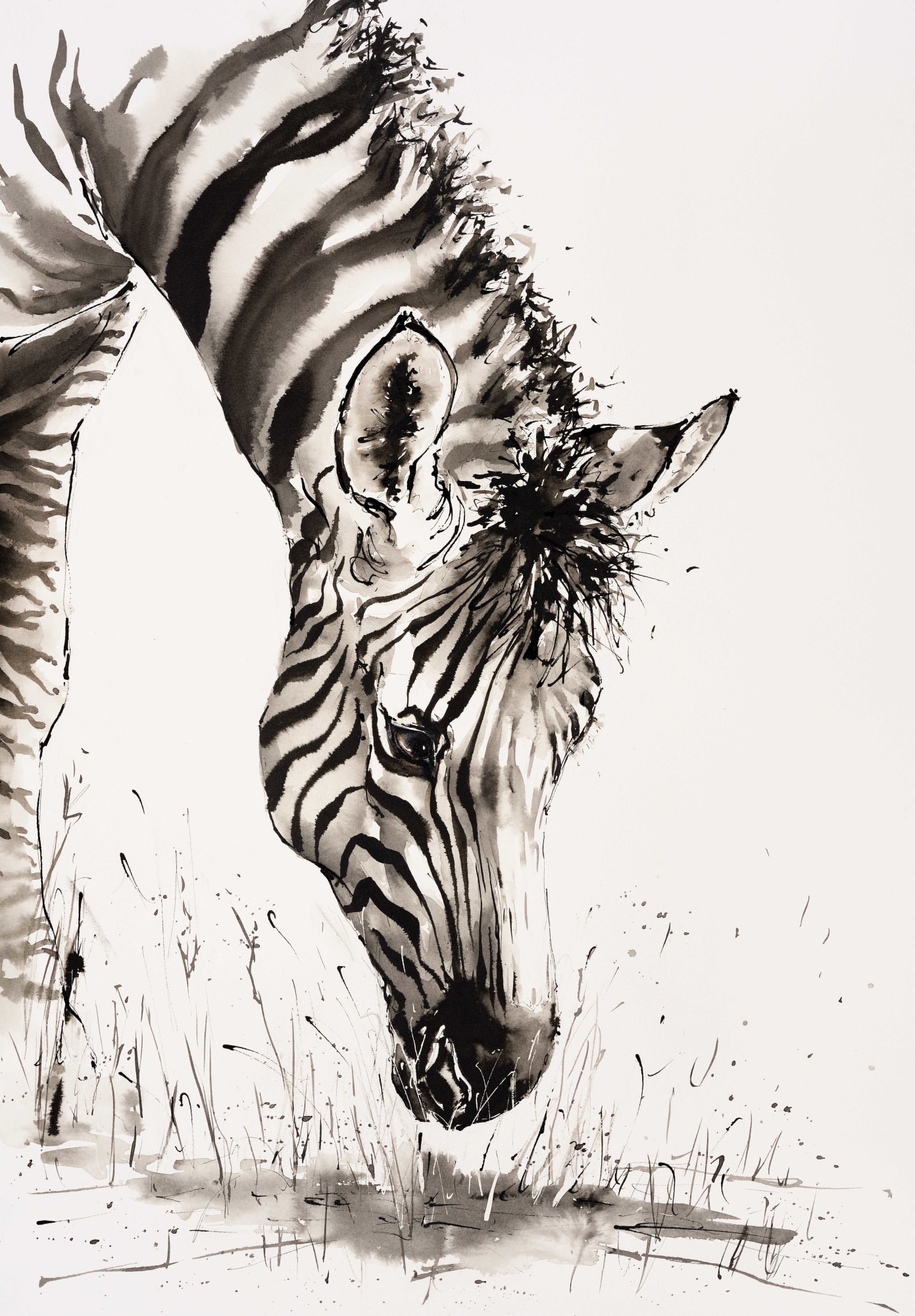 Julia Cassels, Stripes