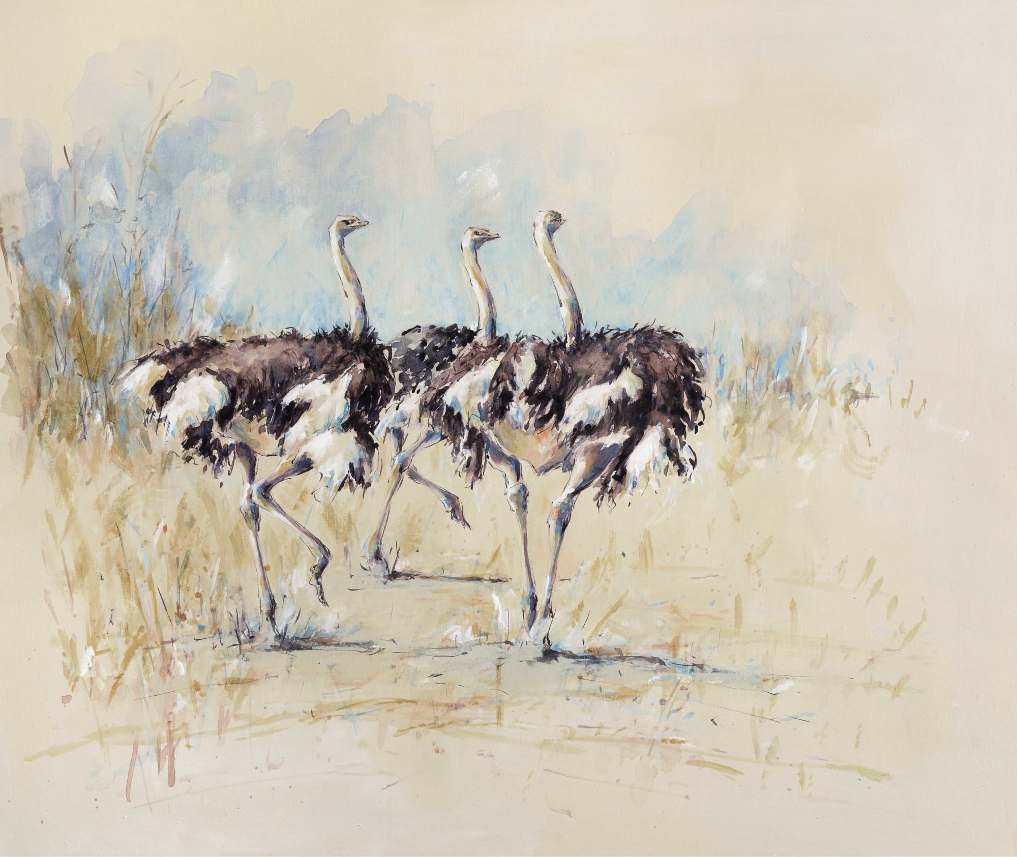 Julia Cassels, Ostriches Three