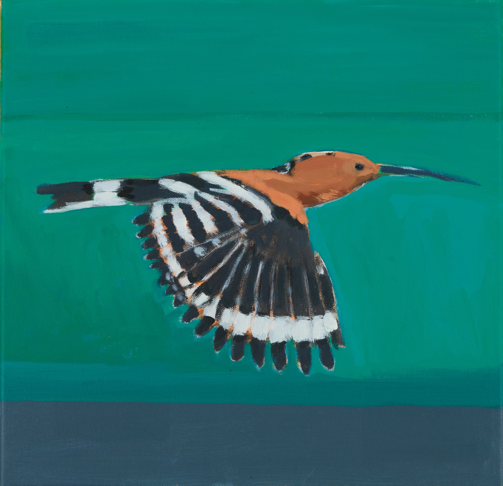 Katharine Edwards, Hoopoe's Flight
