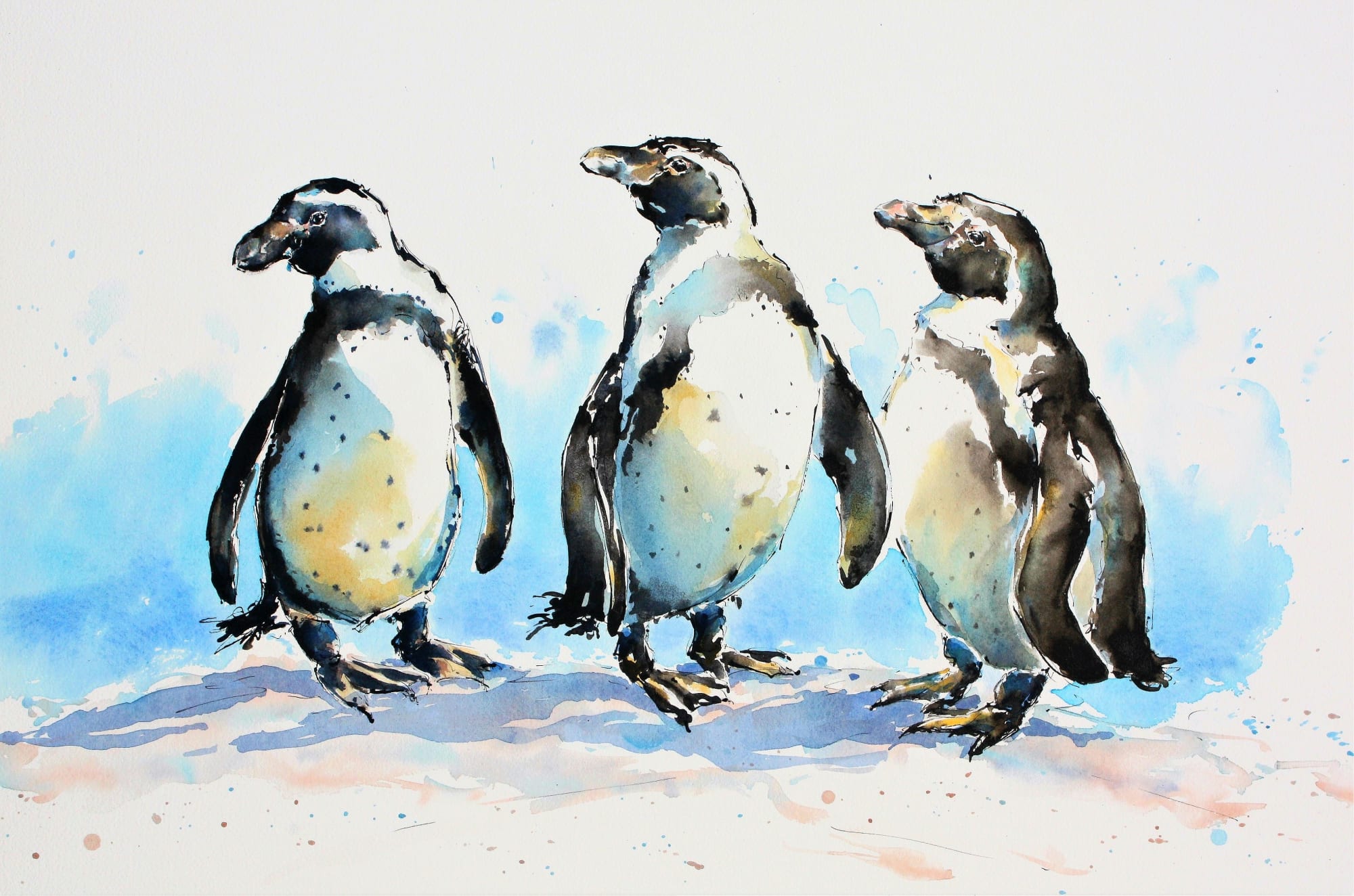 Julia Cassels, Three Wise Penguins