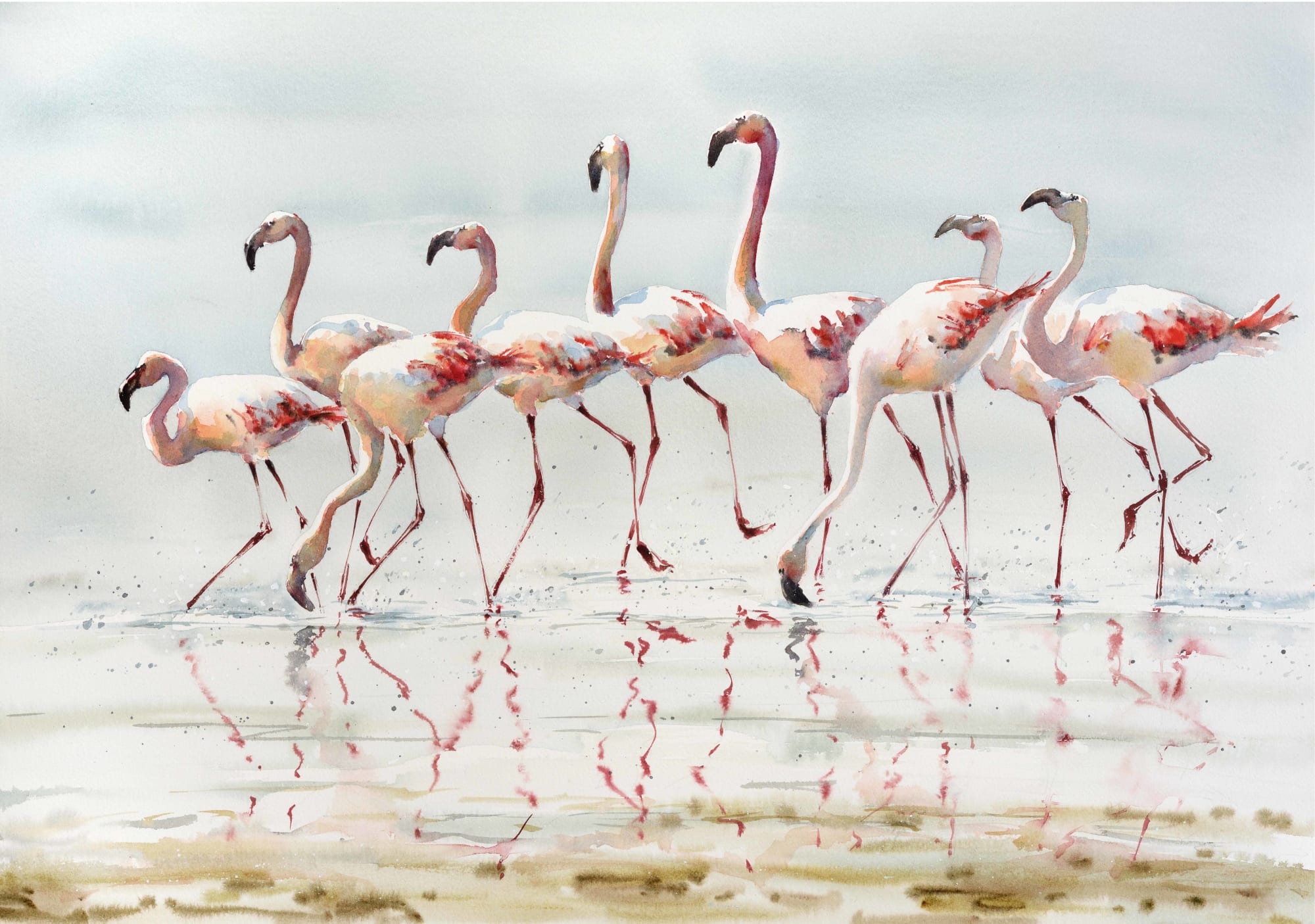 Julia Cassels, March of the Flamingos