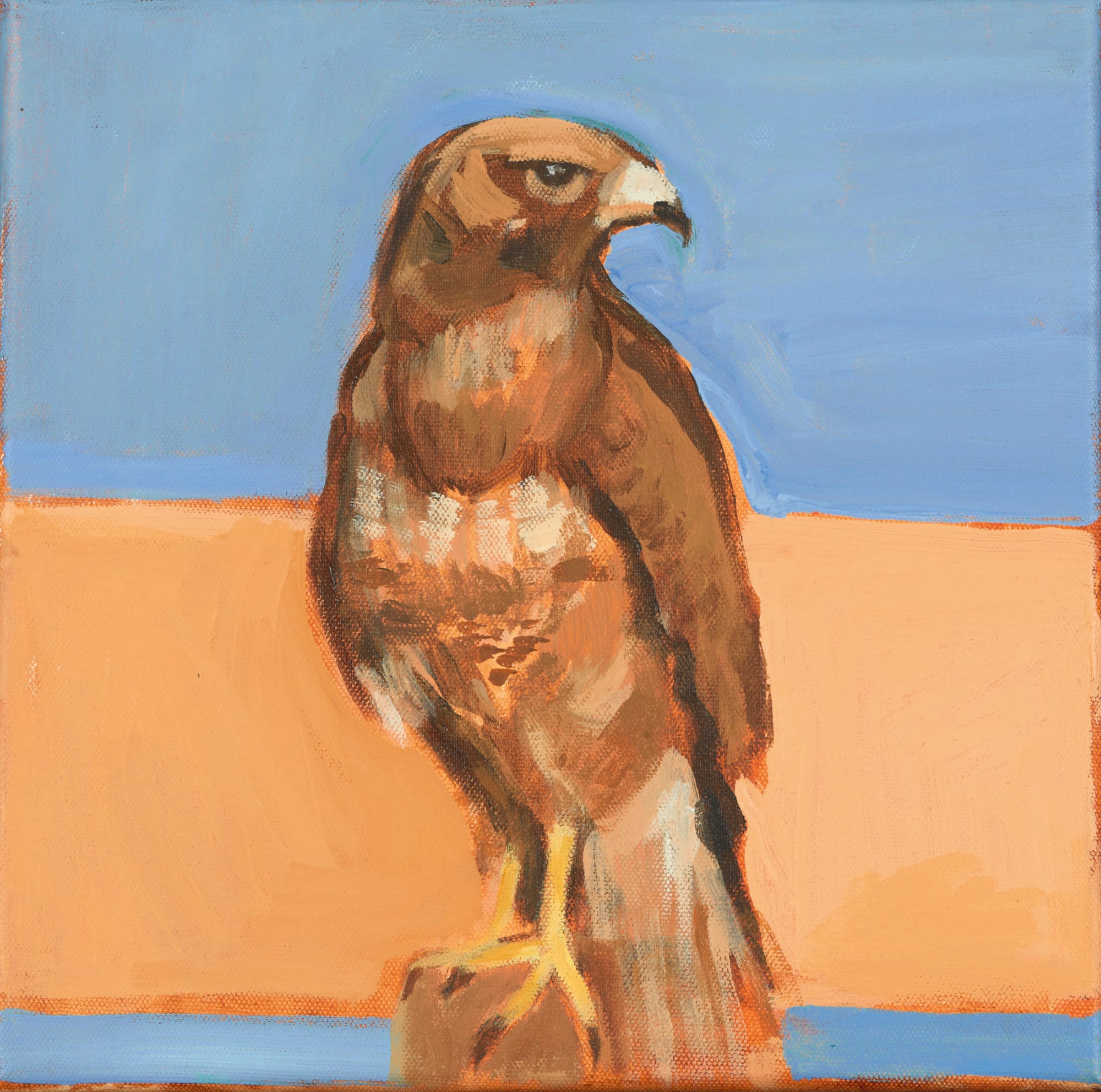 Katharine Edwards, Buzzard