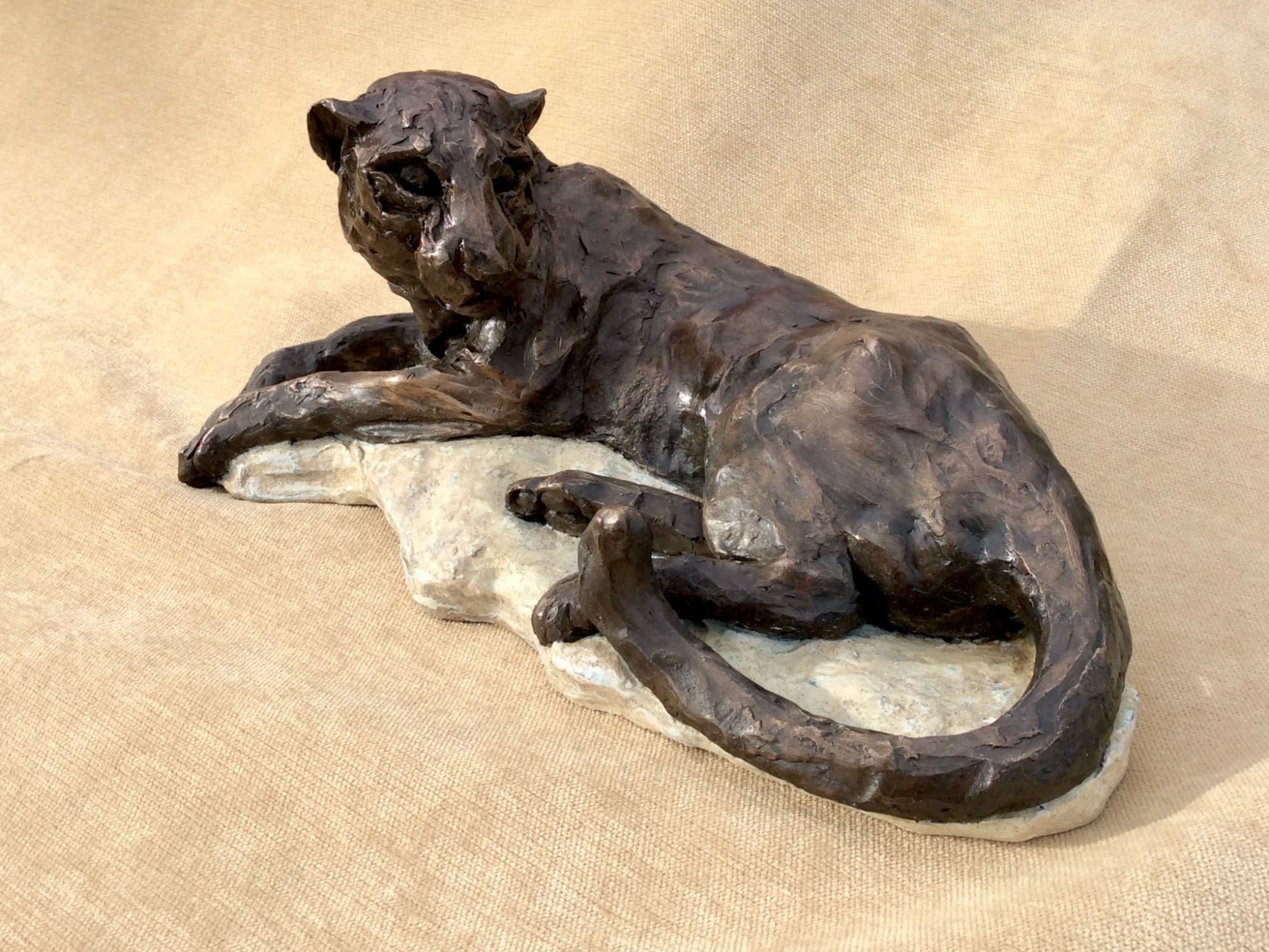 Julia Cassels, Leopard