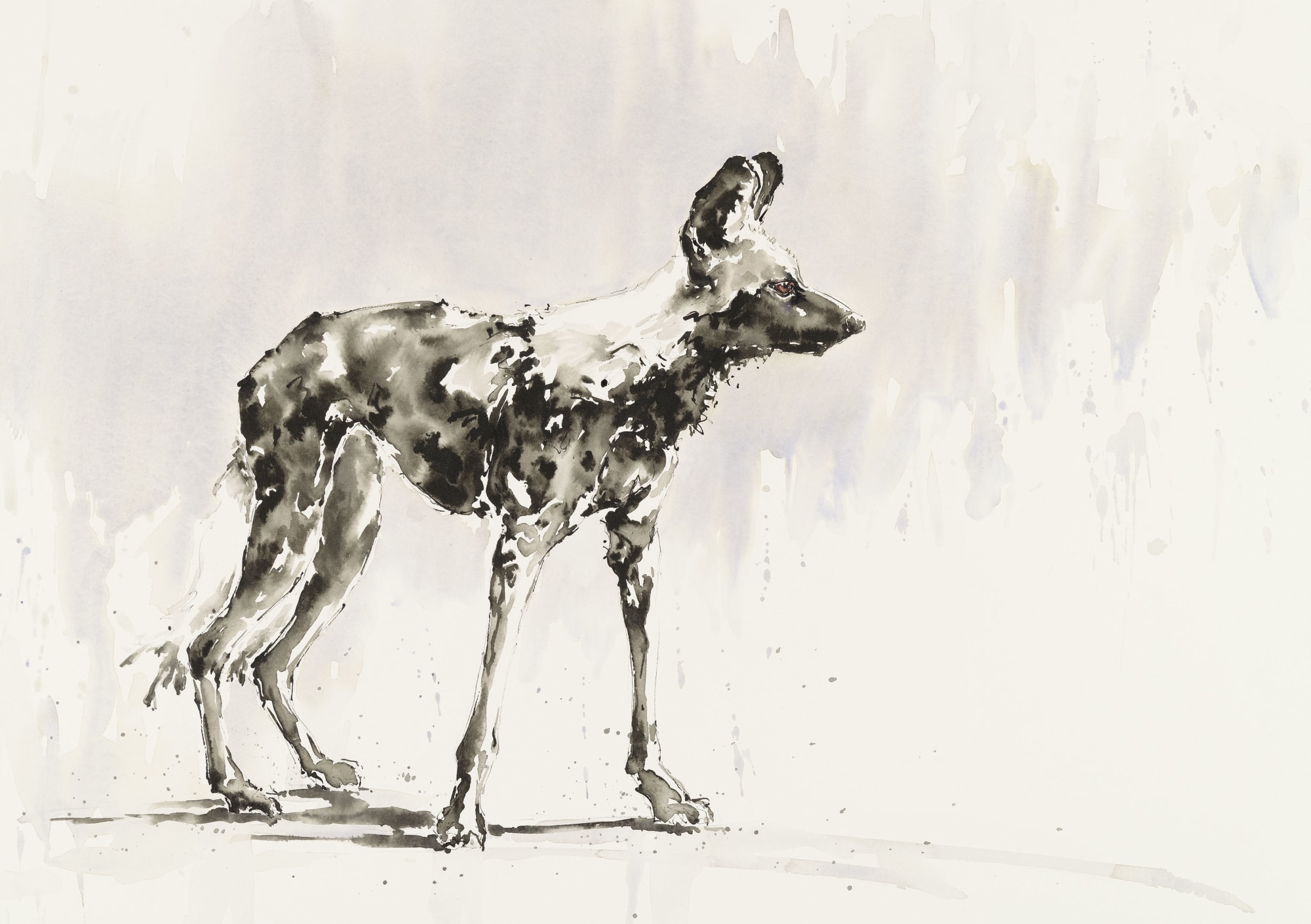 Julia Cassels, Dog Days