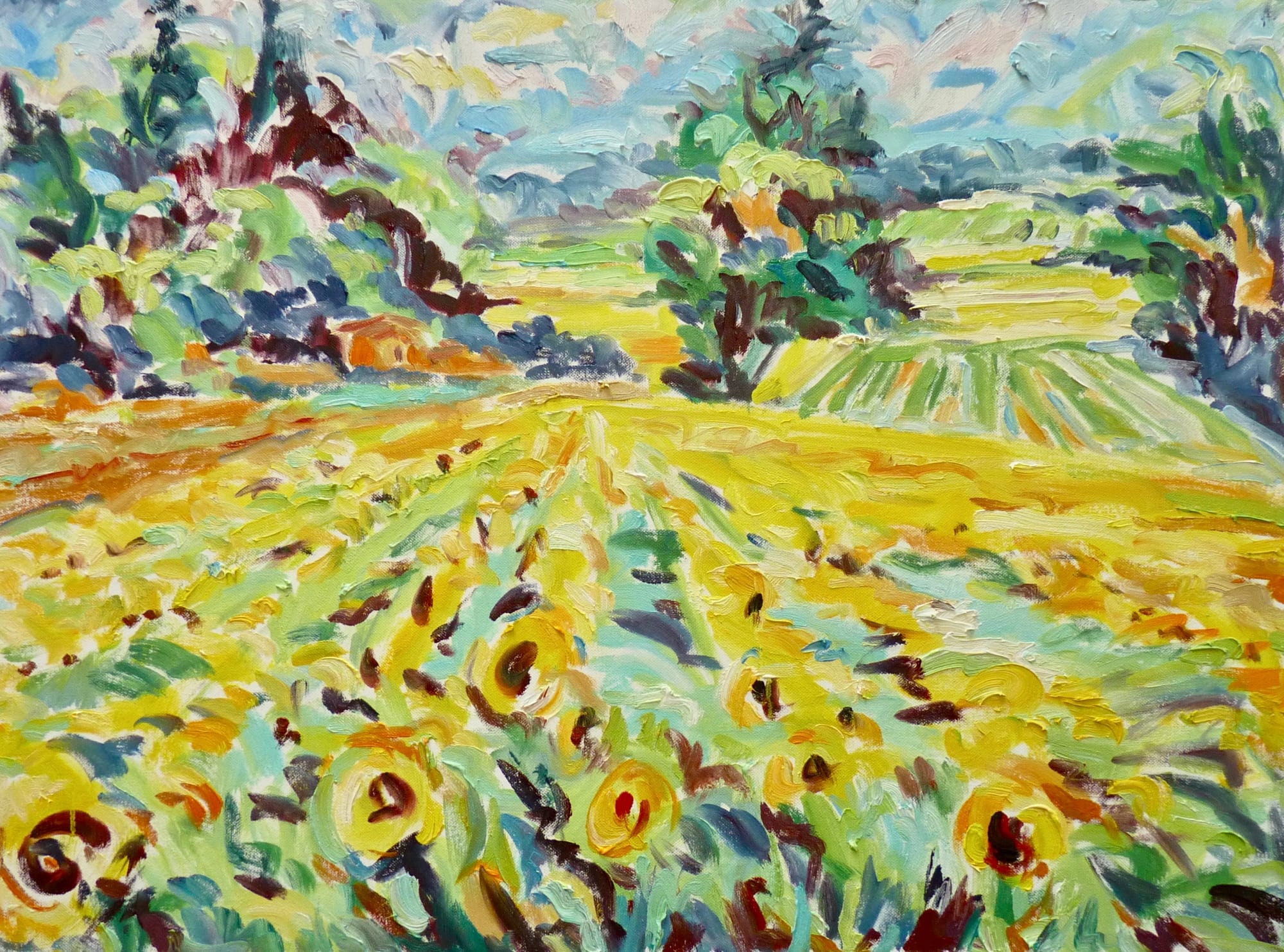 Fi Katzler, Sunflowers at Cadenet (London Gallery)