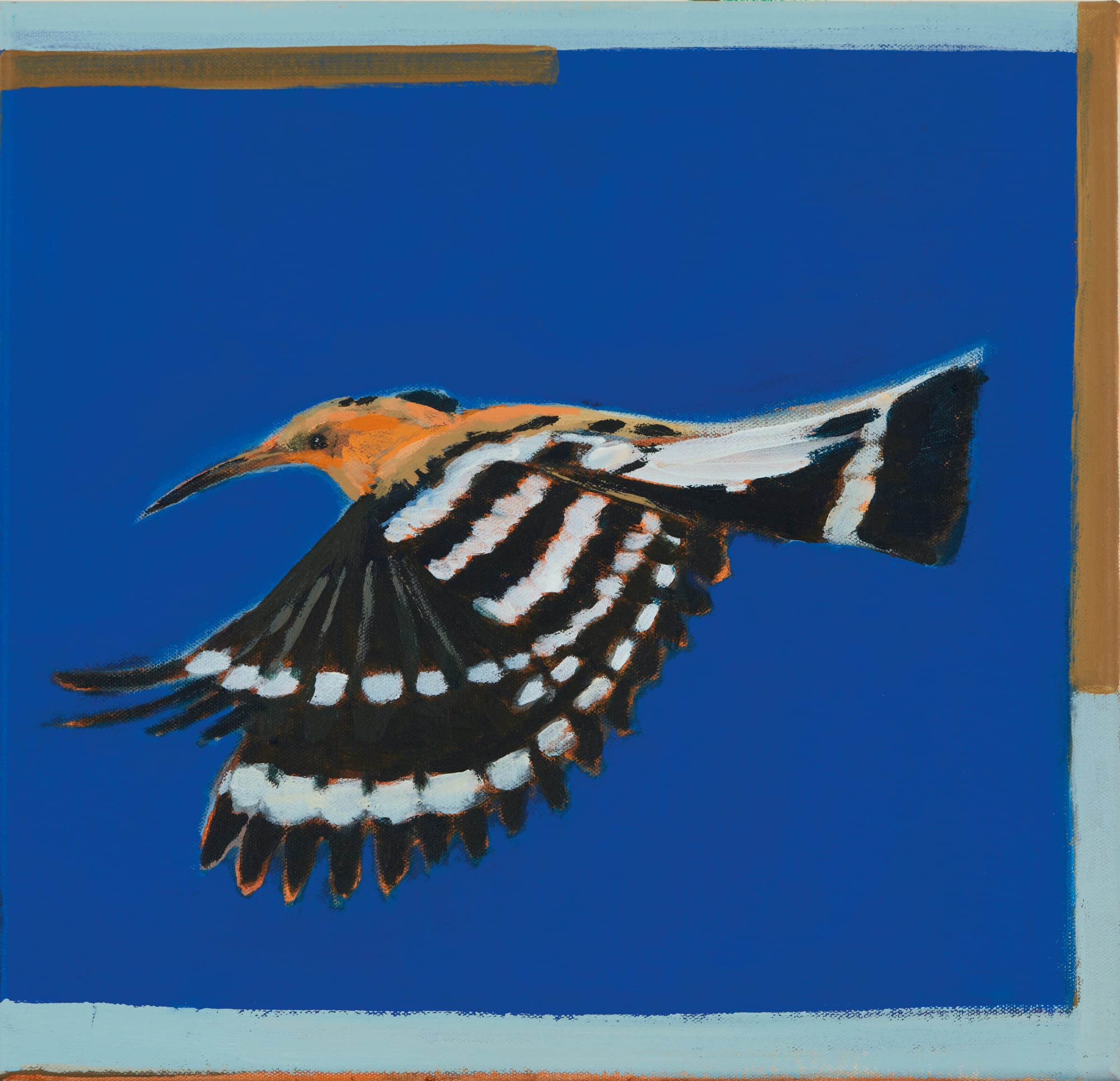 Katharine Edwards, Hoopoe at Dusk