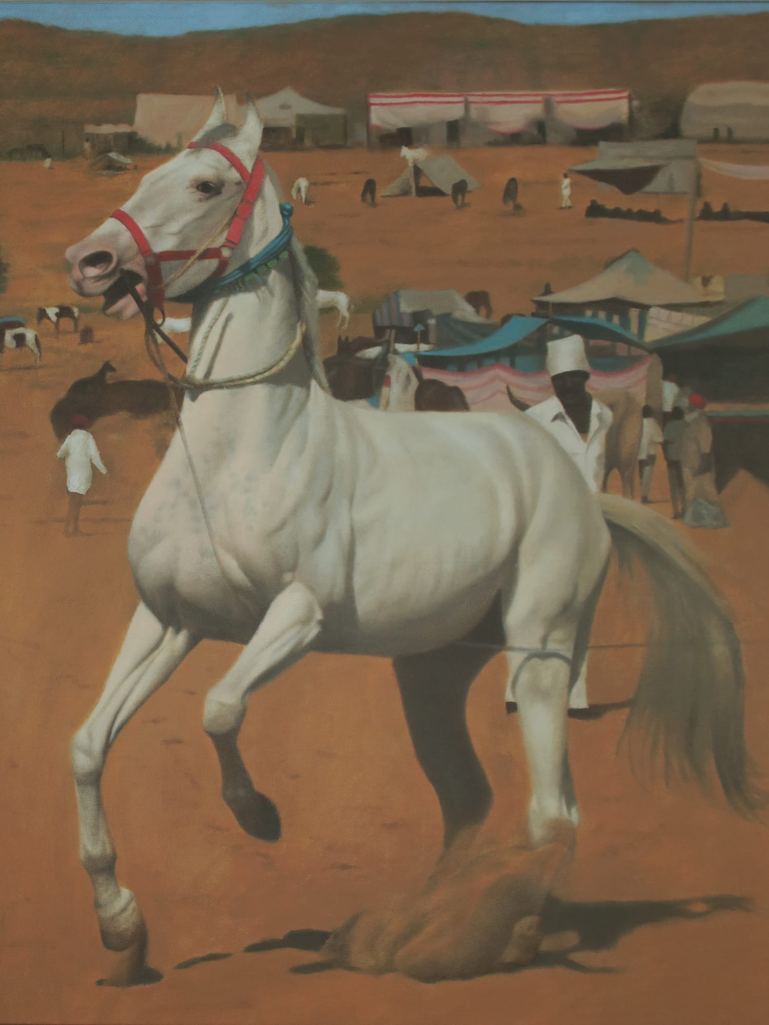 Mark Clark, Marwari Horse, Pushkar Camel Fair