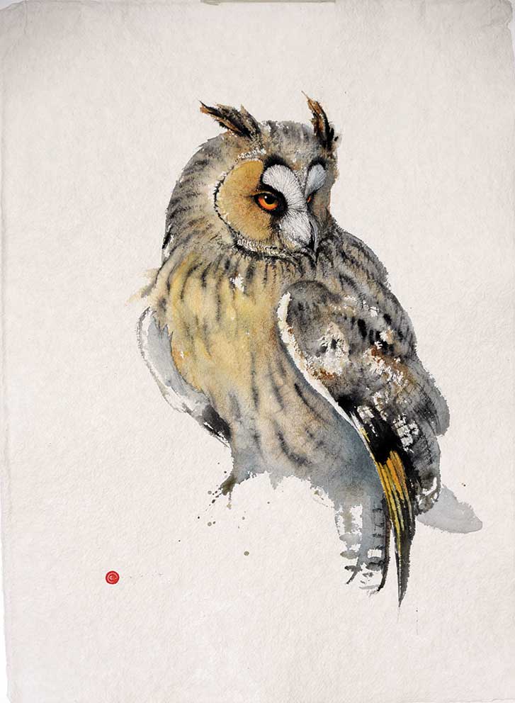 Karl Martens, Long-eared Owl