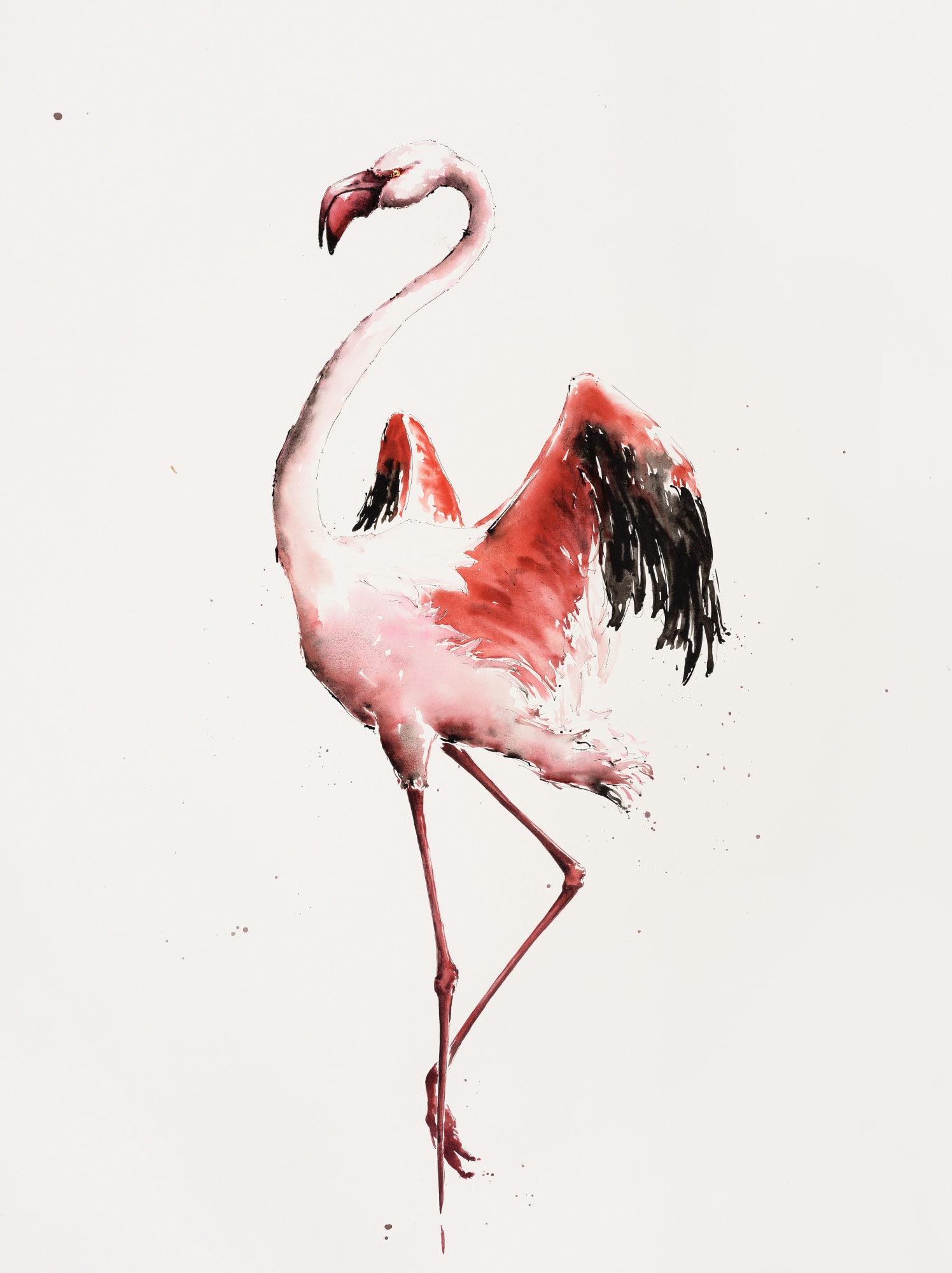 Julia Cassels, Flamingo Dusk