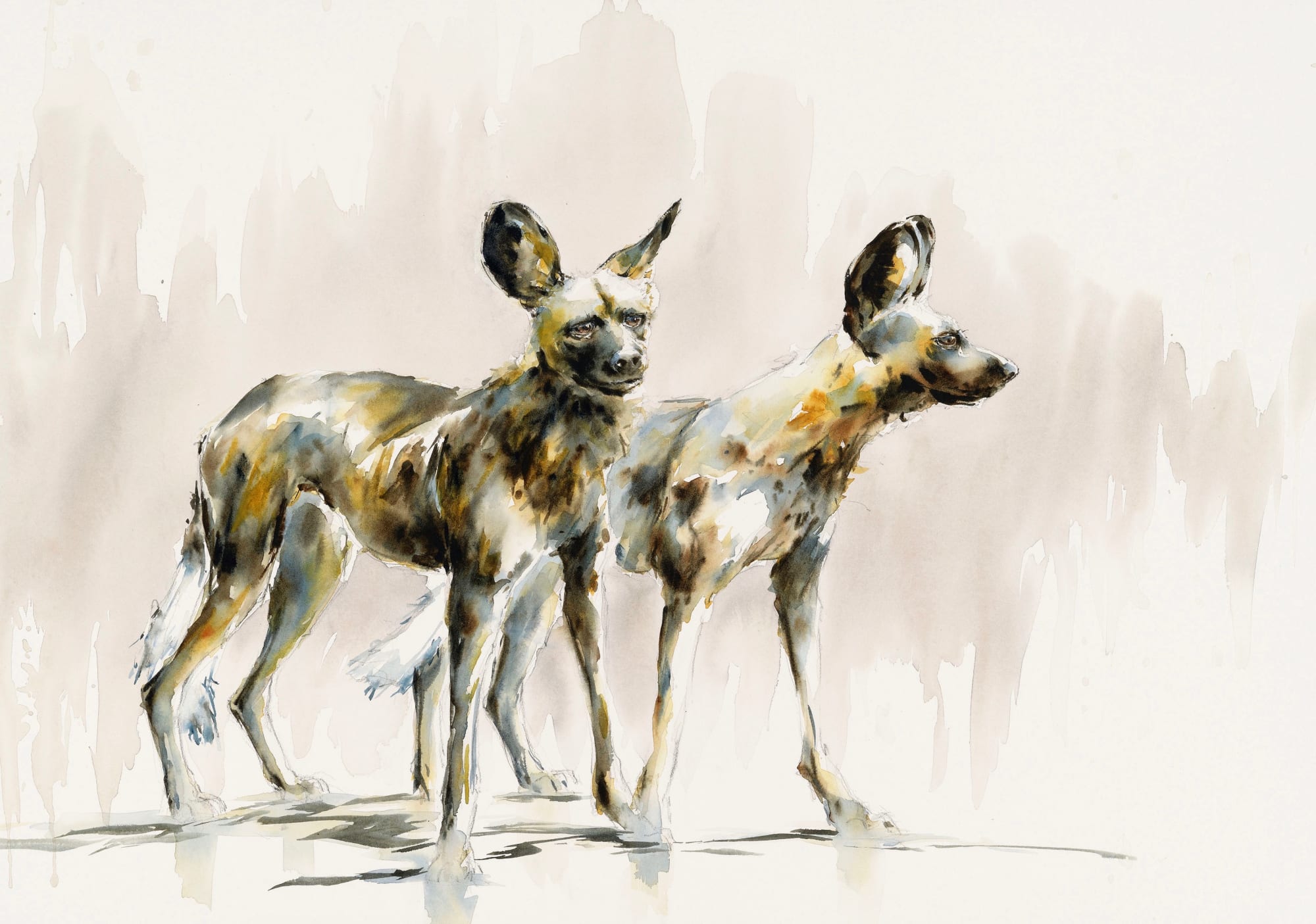 Julia Cassels, Wild Dogs I