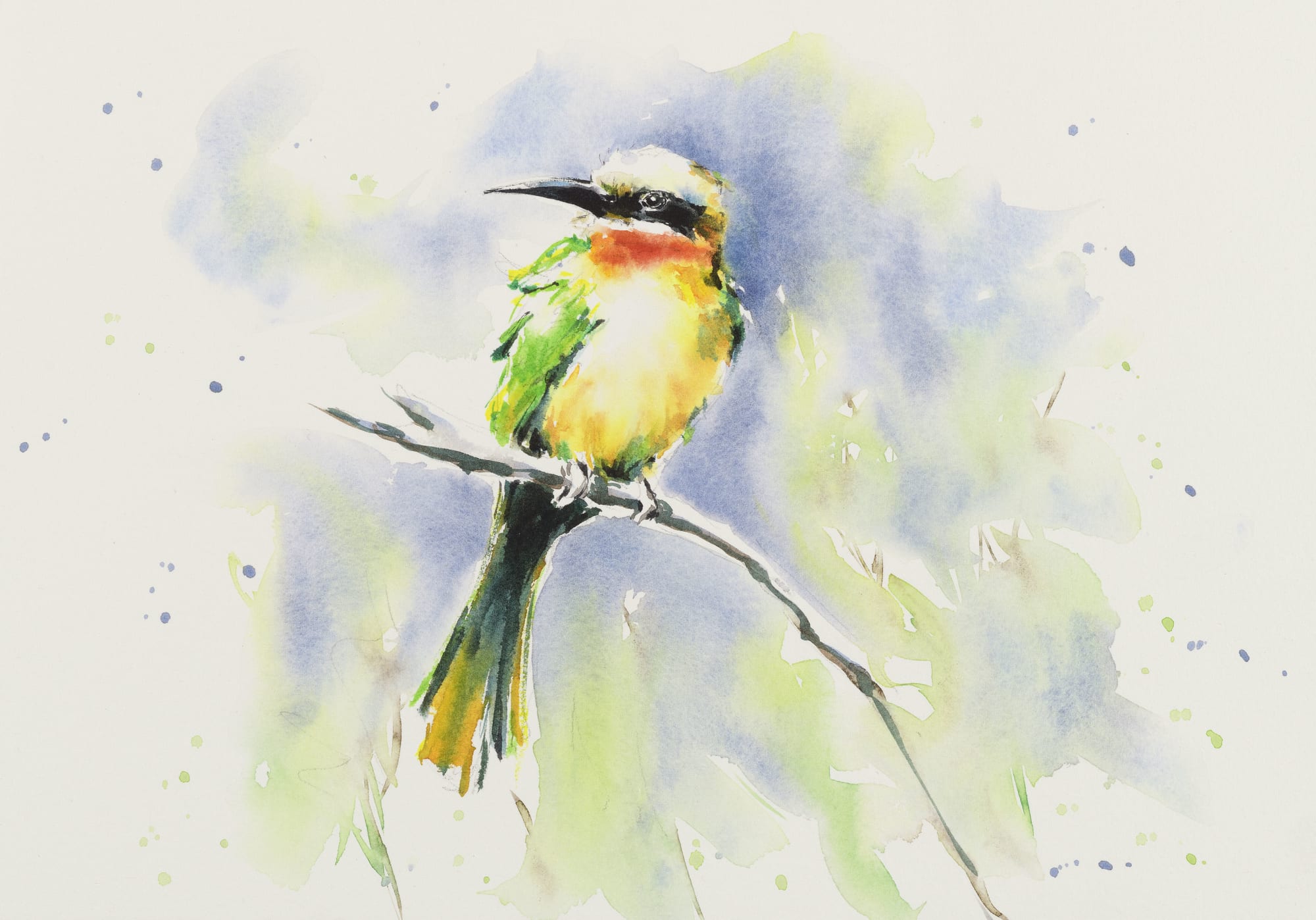 Julia Cassels, Bee-Eater