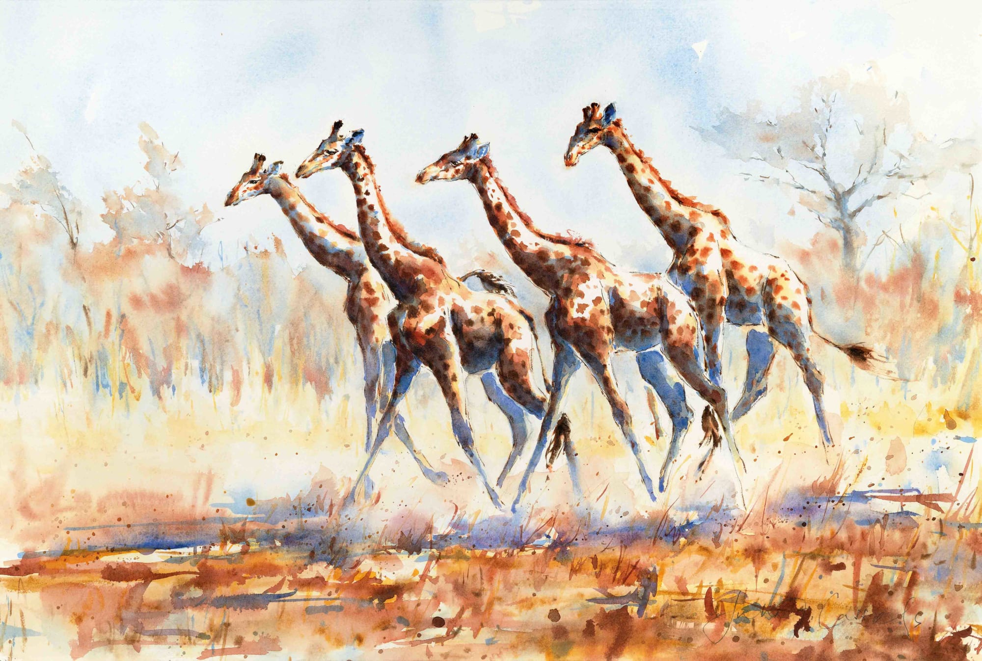 Julia Cassels, Giraffe Journey