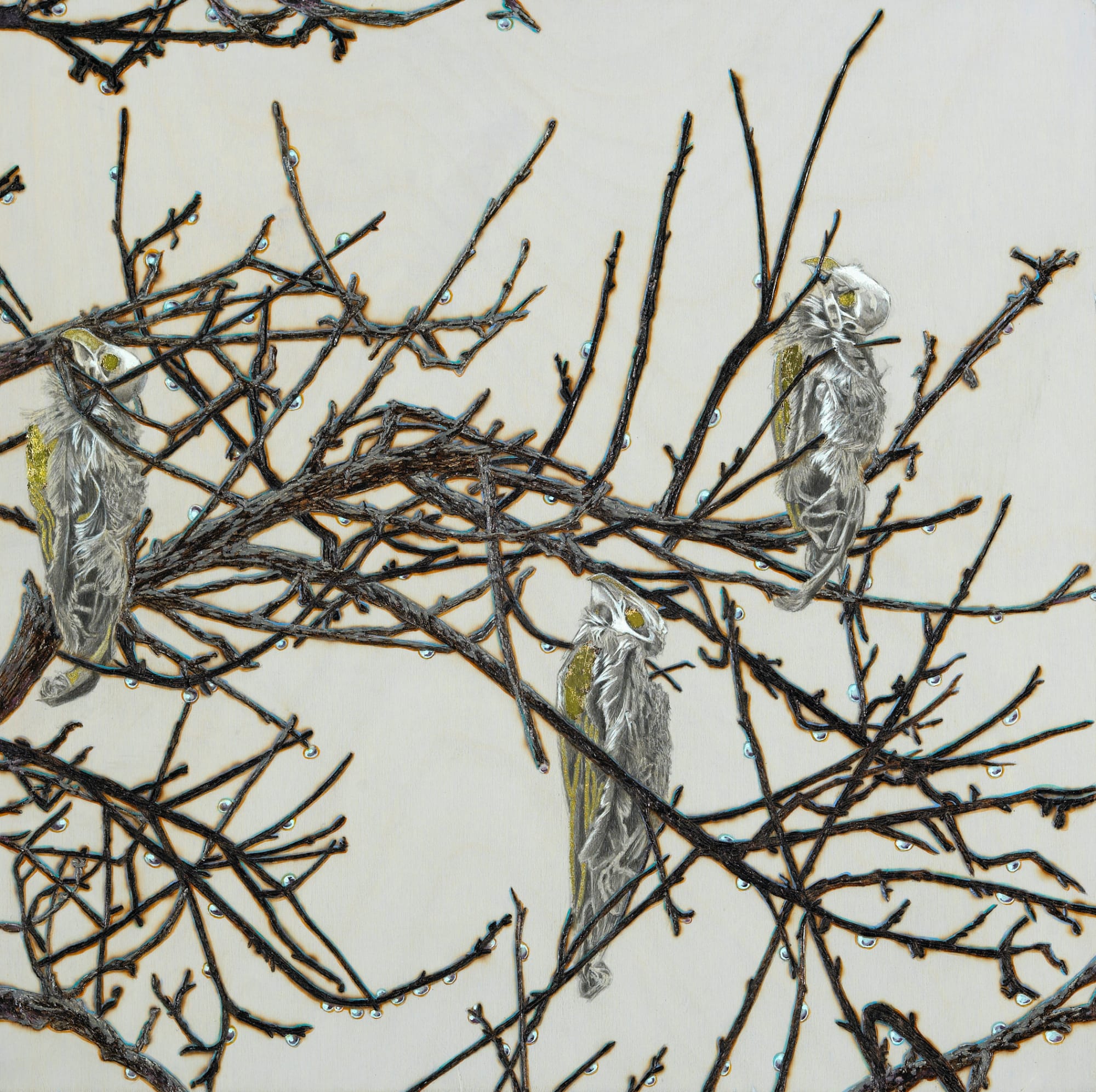 Bobbie Moline-Kramer, All That Remains 1g, 2010