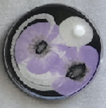 Klari Reis, Elsie, 2017