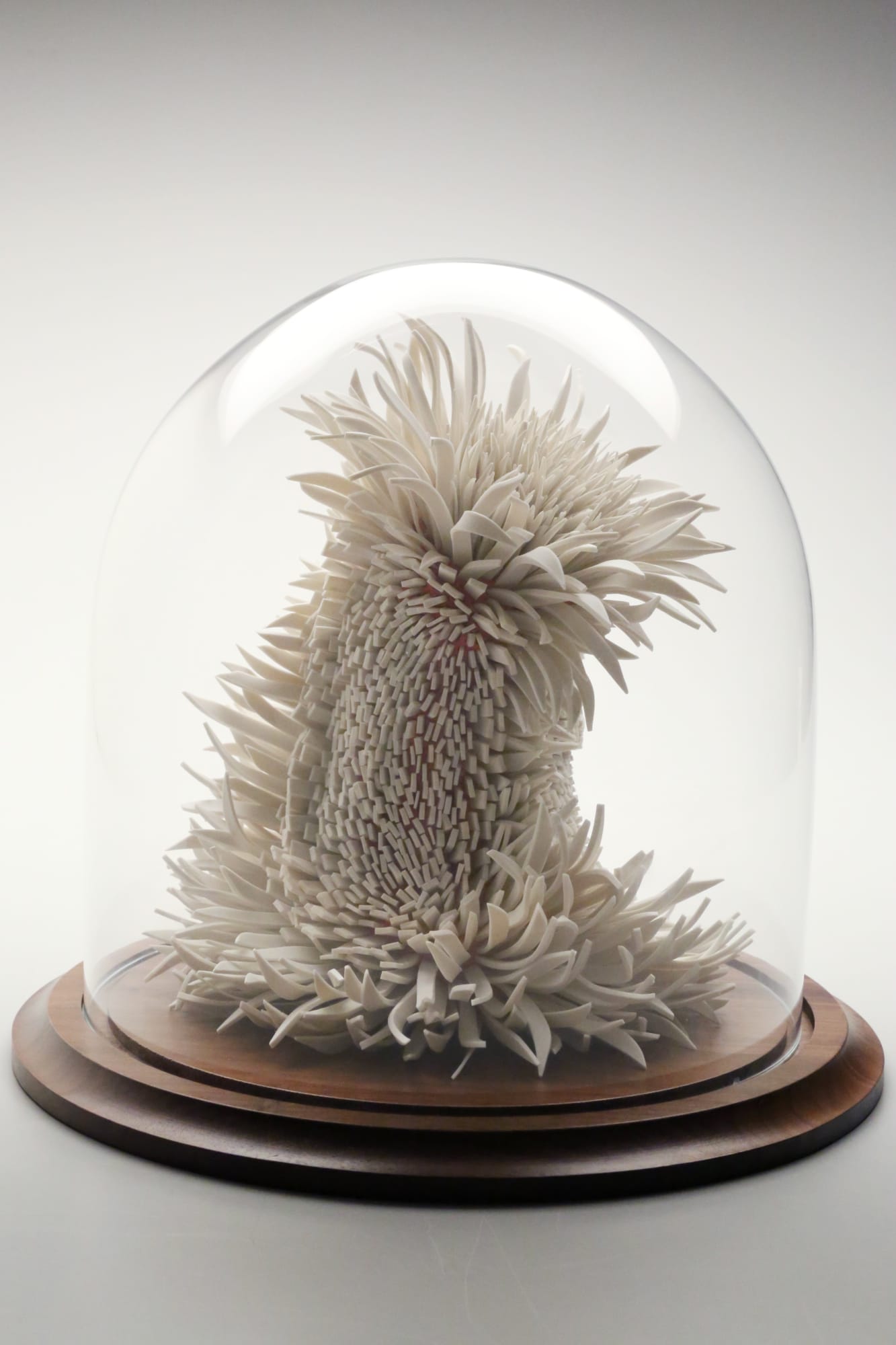 Zemer Peled, Flowered Lions 3, 2015