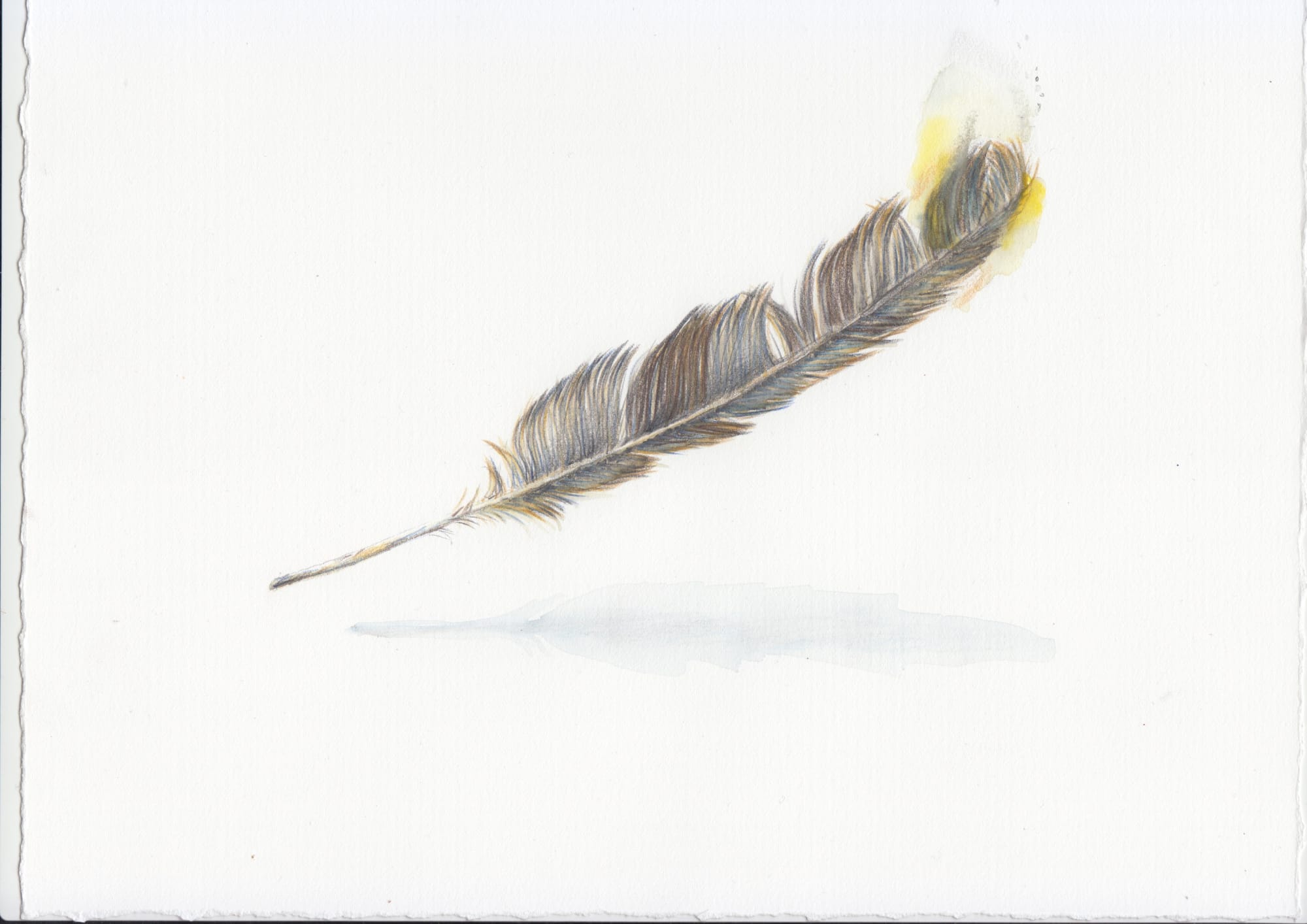 Alastair Gordon, Study for Lament (Grey Feather, Floating Fire), 2020