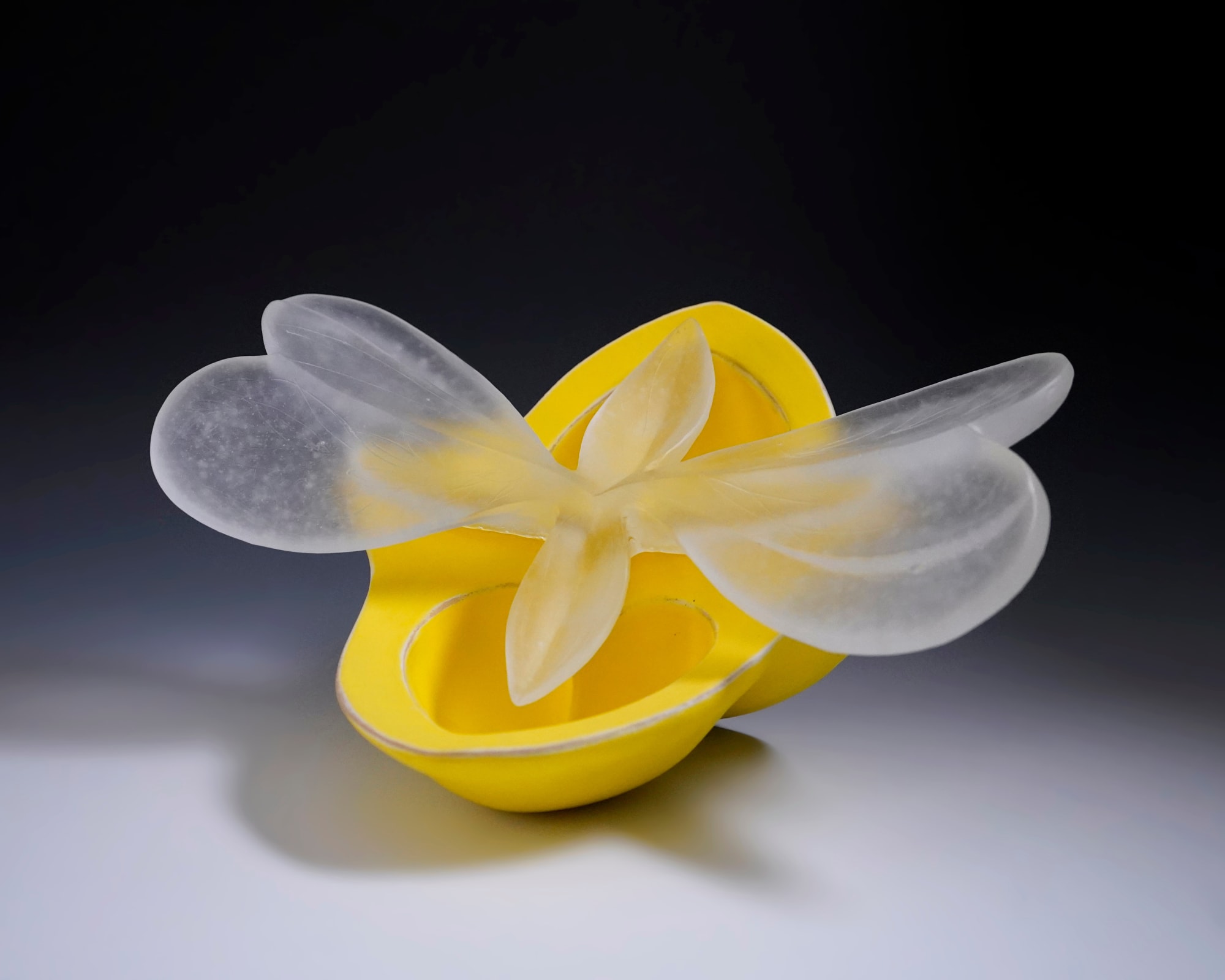 Tashima Etsuko 田嶋悦子, Cornucopia 09-Y12, 2009