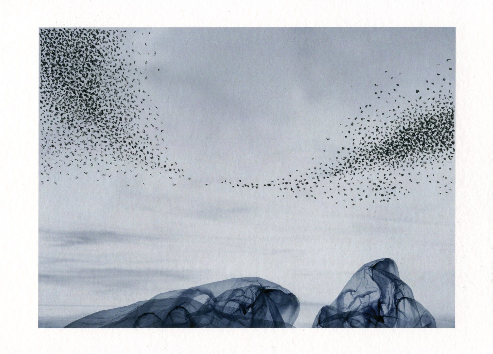 Alain Delorme Croquis d'une murmuration 13 x 18 cm