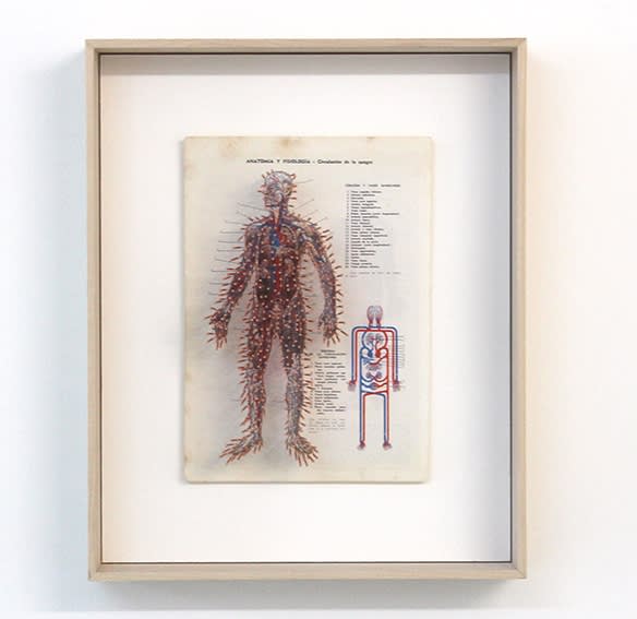 Prune Nourry Etrange planche anatomique #7 Reflexology Print, Acupuncture Needles 15 x 21 x 5 cm