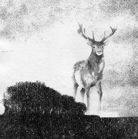 Coline Minet & Maxime Fardeau Rêve n°2 Inkjet print and ink 30 x 30 cm