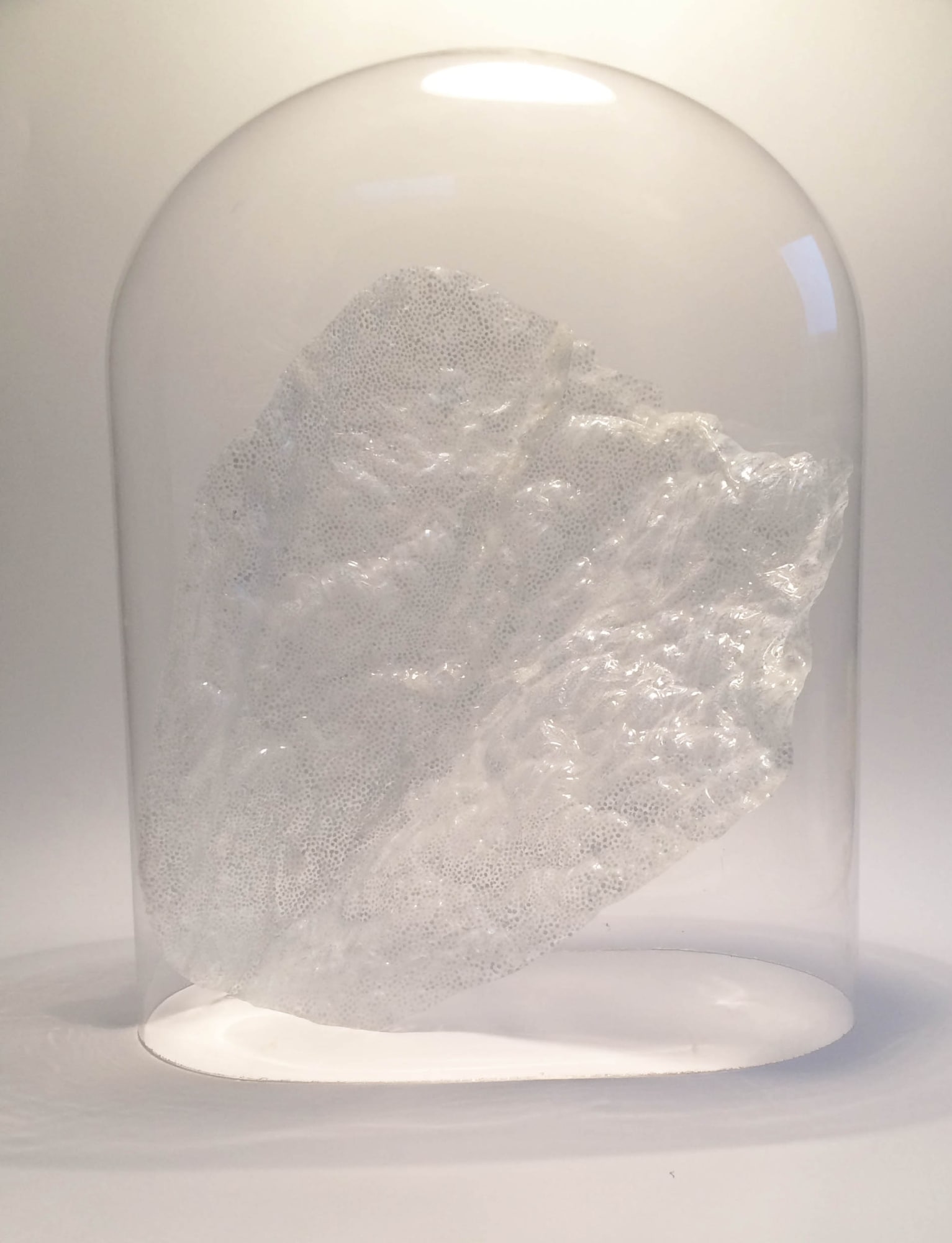 Giulia Manset Blow glass, plastic, wax, pencil 15 x 27 x 40 cm
