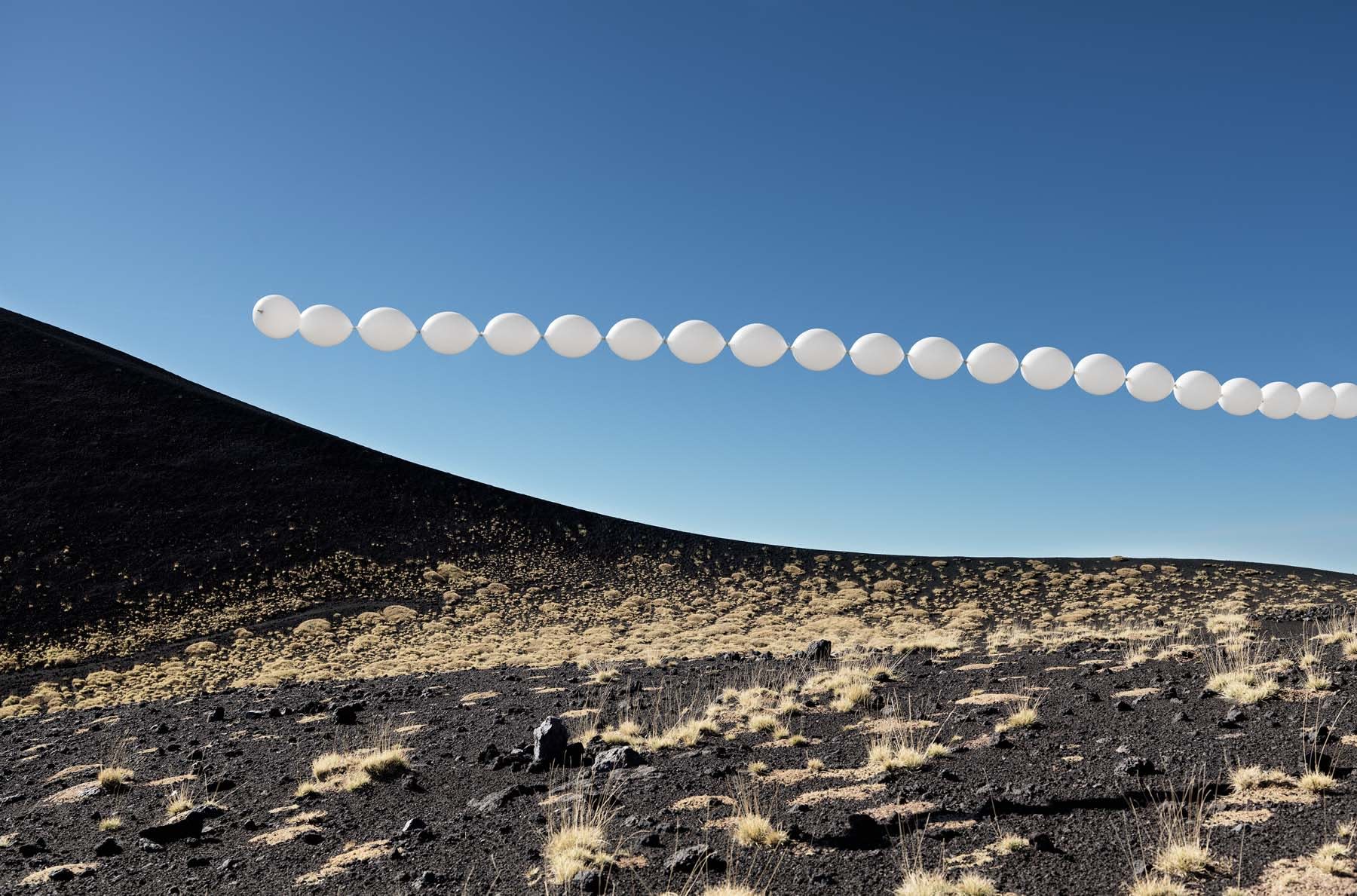 Charles Petillon Ribambelle 5 (Large) 111 x 164 cm