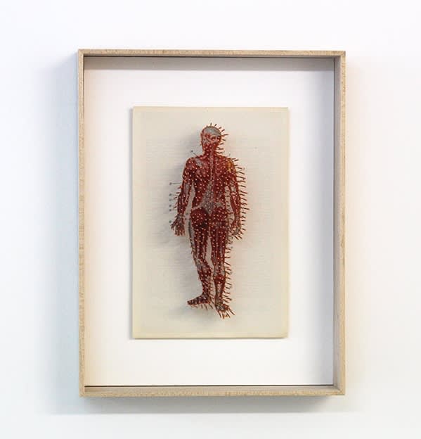 Prune Nourry Etrange planche anatomique #13 Reflexology Print, Acupuncture Needles 16 x 24 x 5 cm