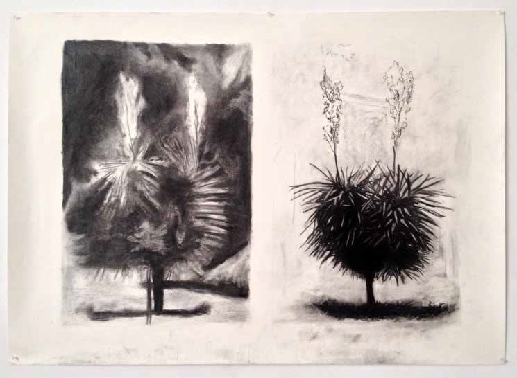 Alessandro Laita Untitled (Ruskin series - palms) Chartcoal, found paper 75 x 105 cm