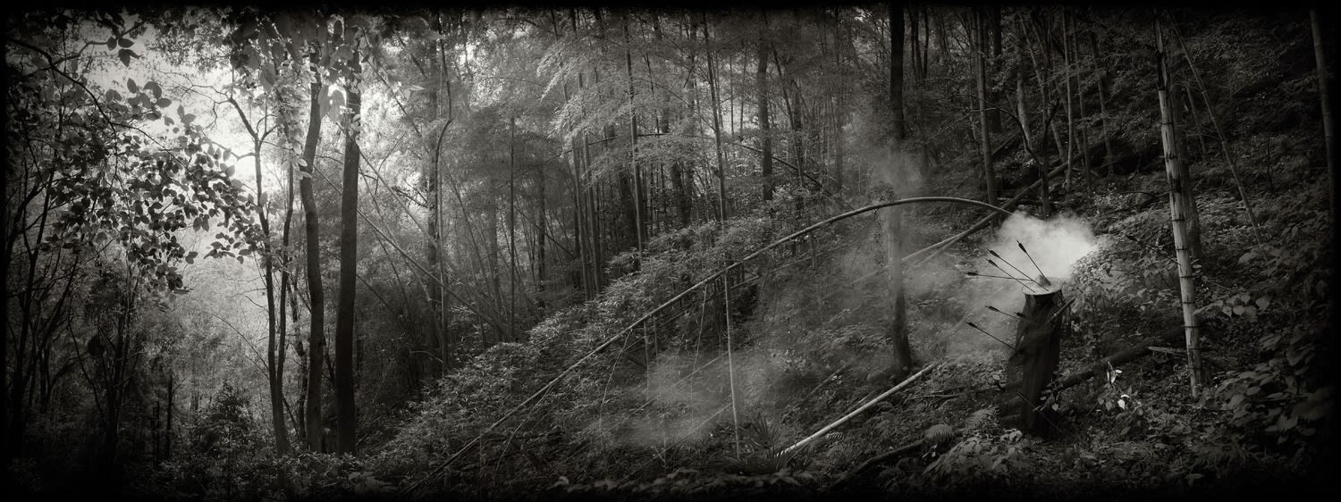 Maleonn Swordsman in the bamboo forest Digital photography & Inkjet print 60 X160 cm