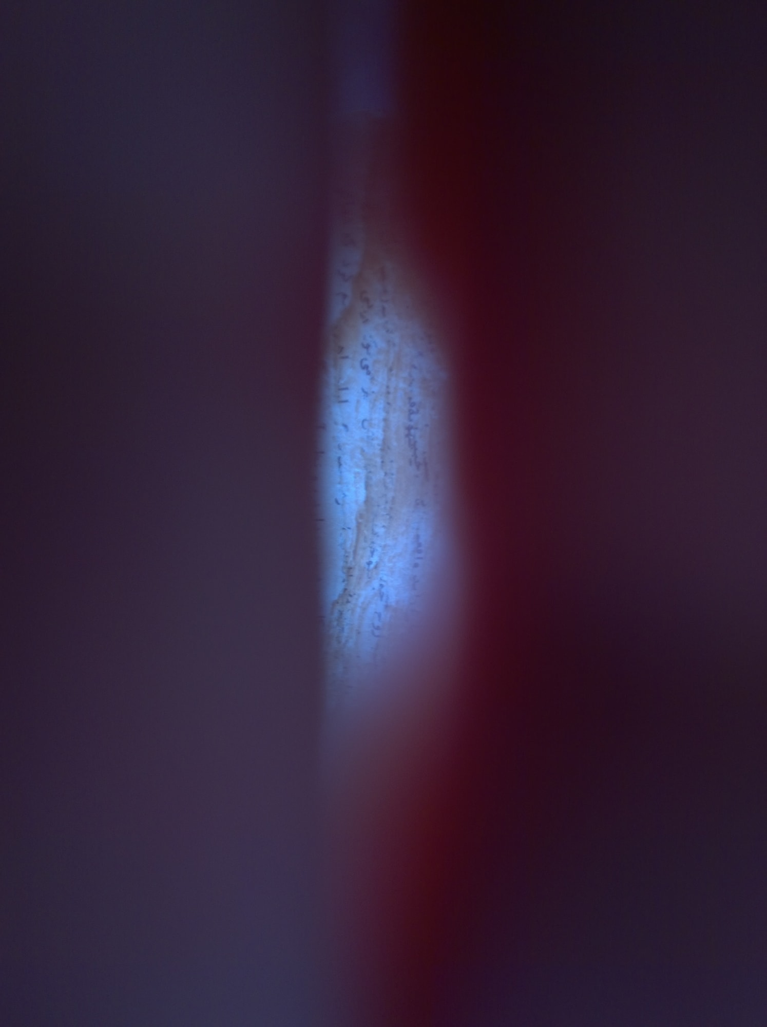 Mehran Mohajer, Untitled, 2017