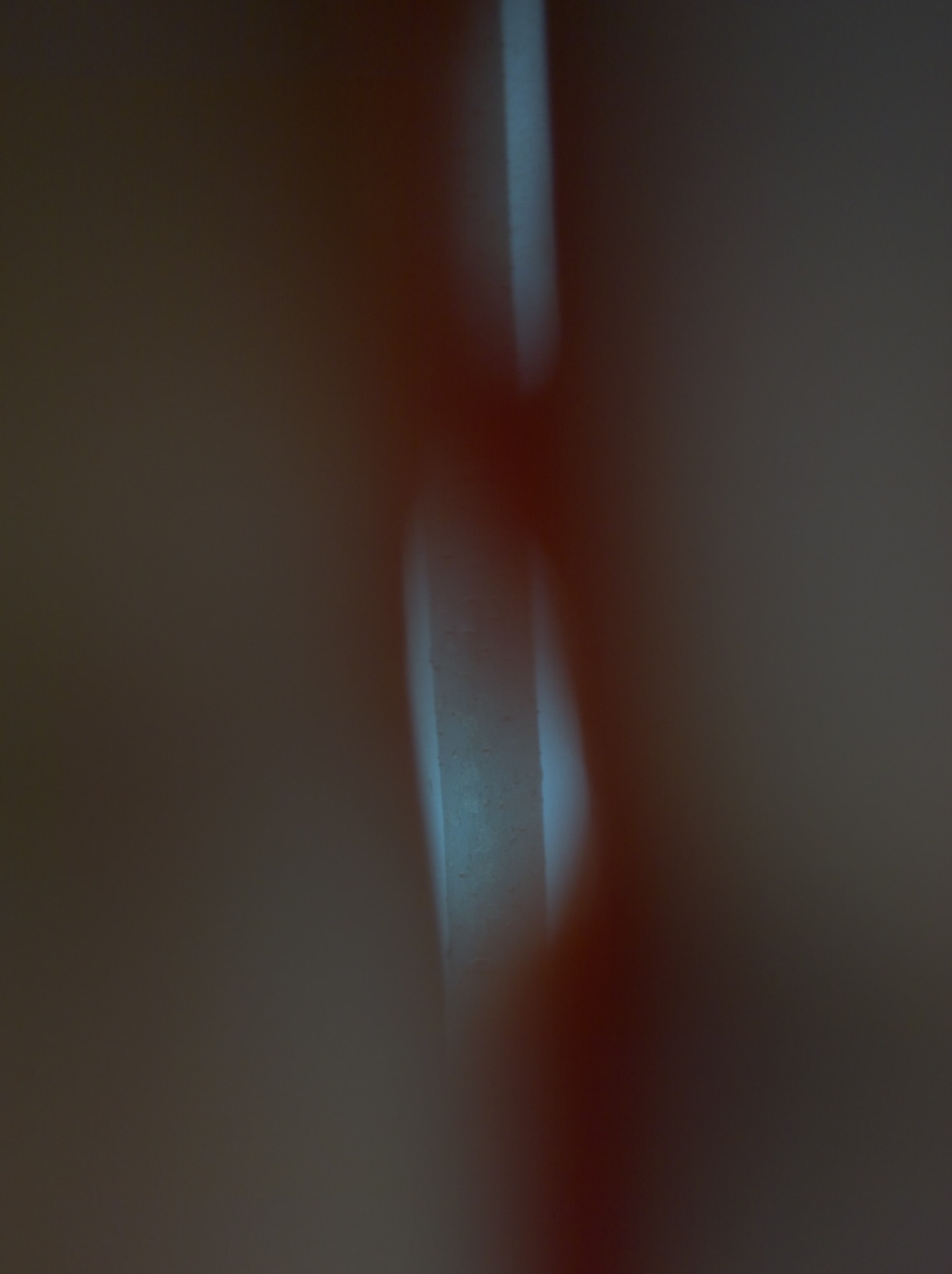 Mehran Mohajer, Untitled, 2017