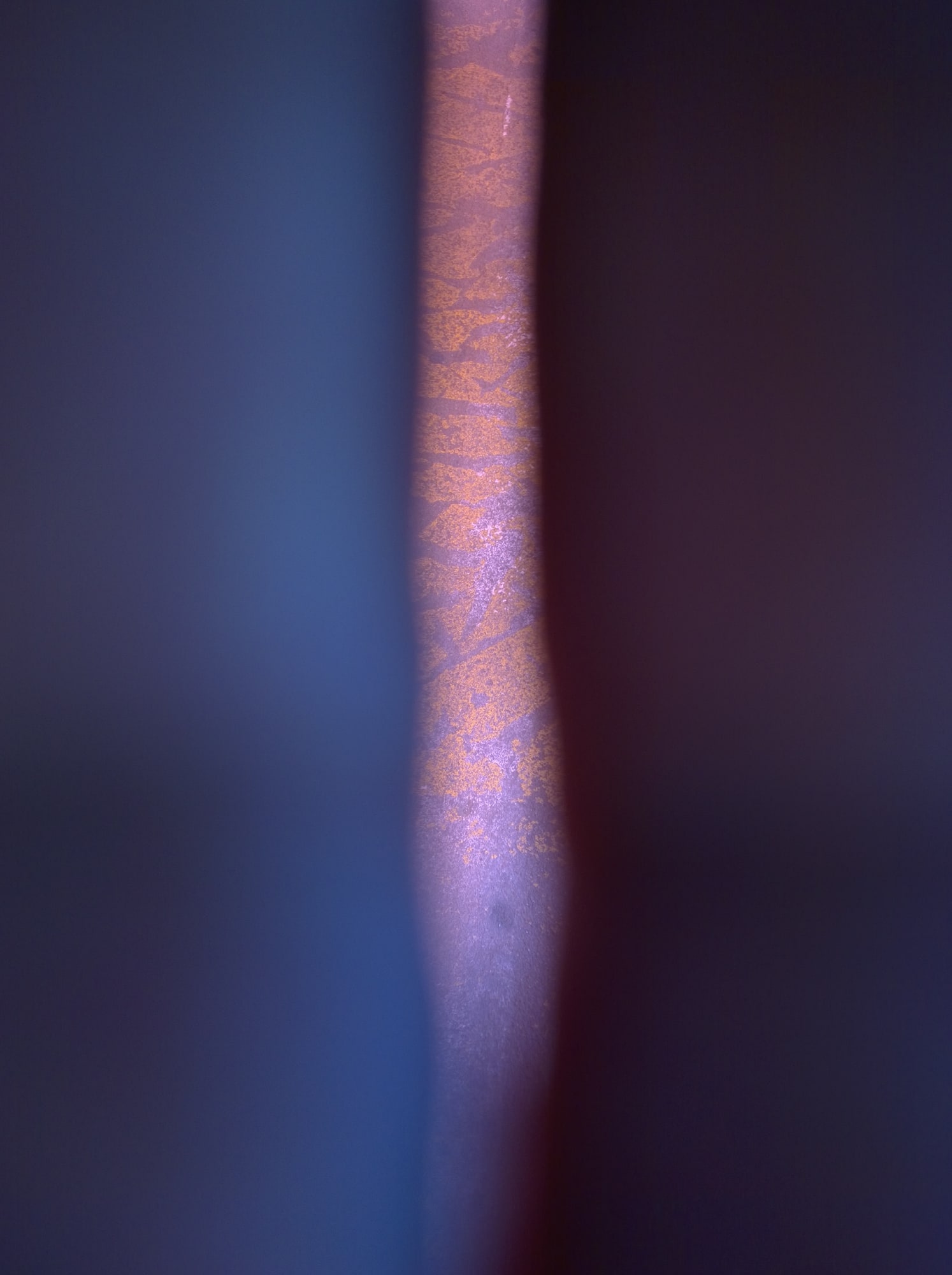 Mehran Mohajer, Untitled, 2017