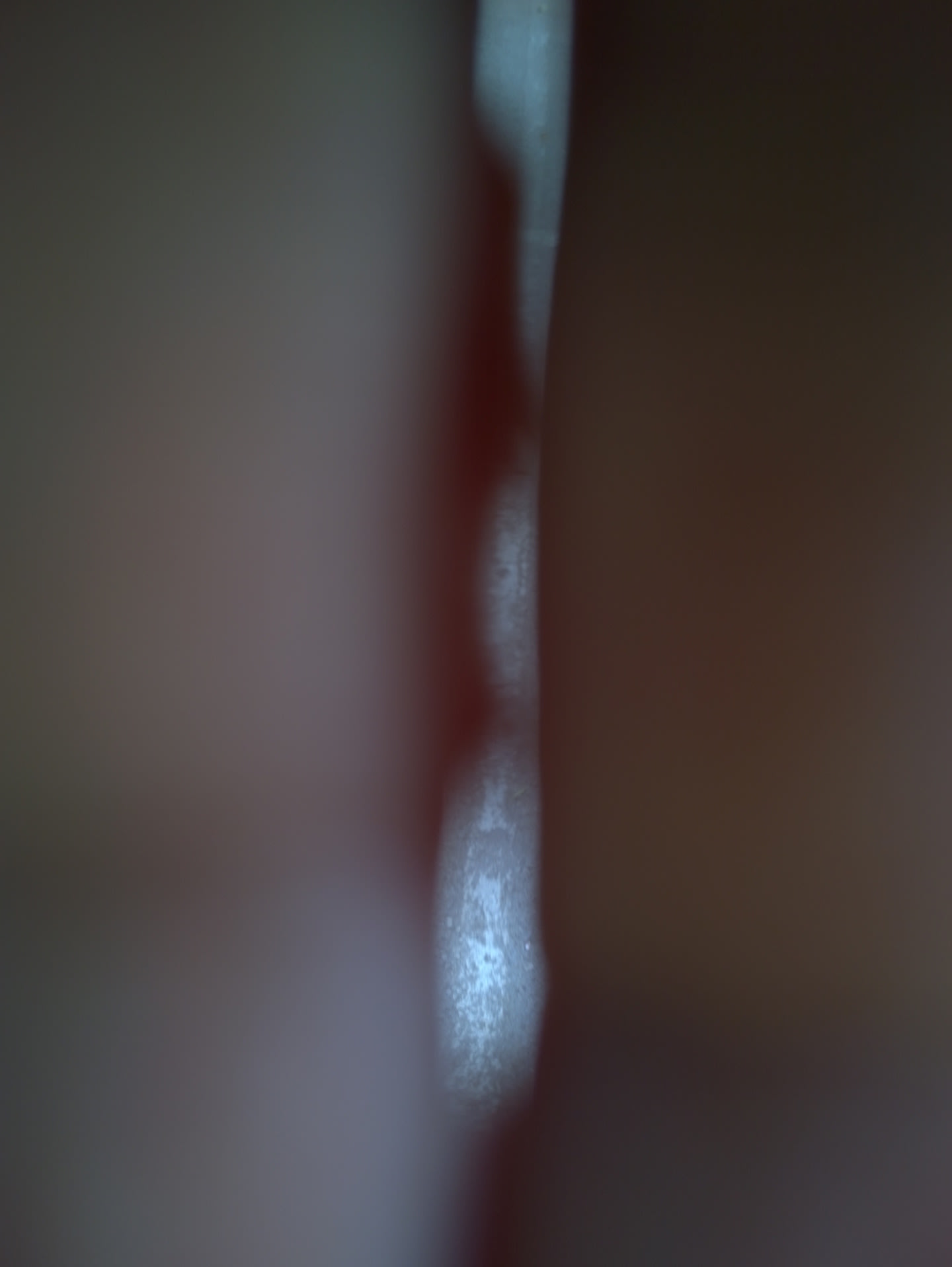 Mehran Mohajer, Untitled, 2017