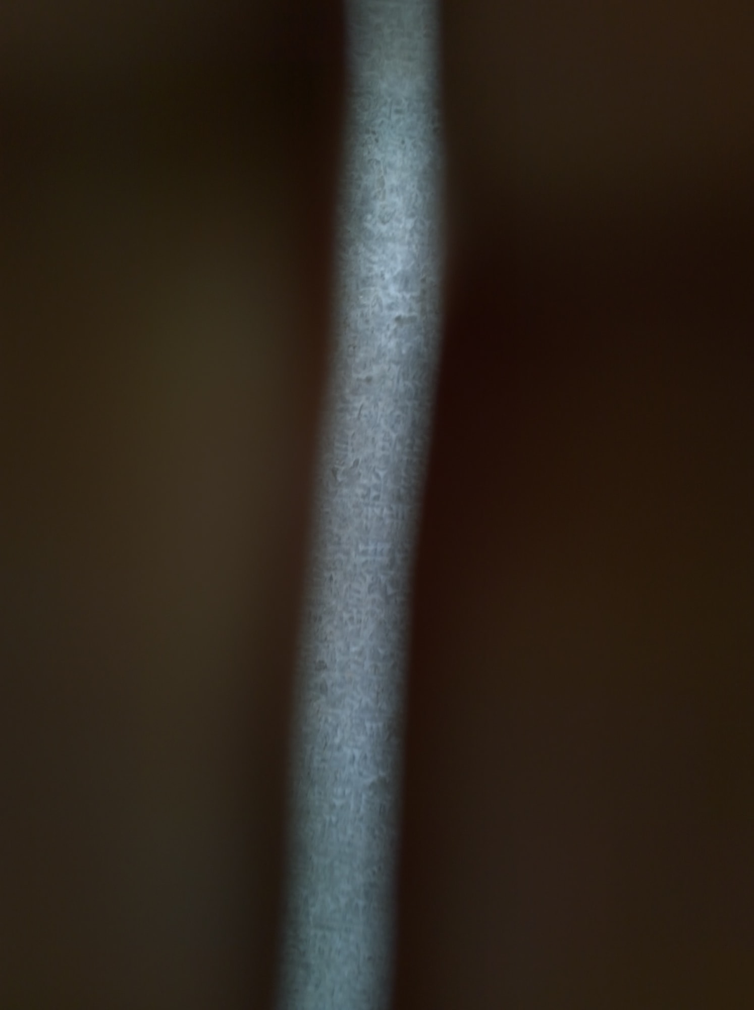 Mehran Mohajer, Untitled, 2017