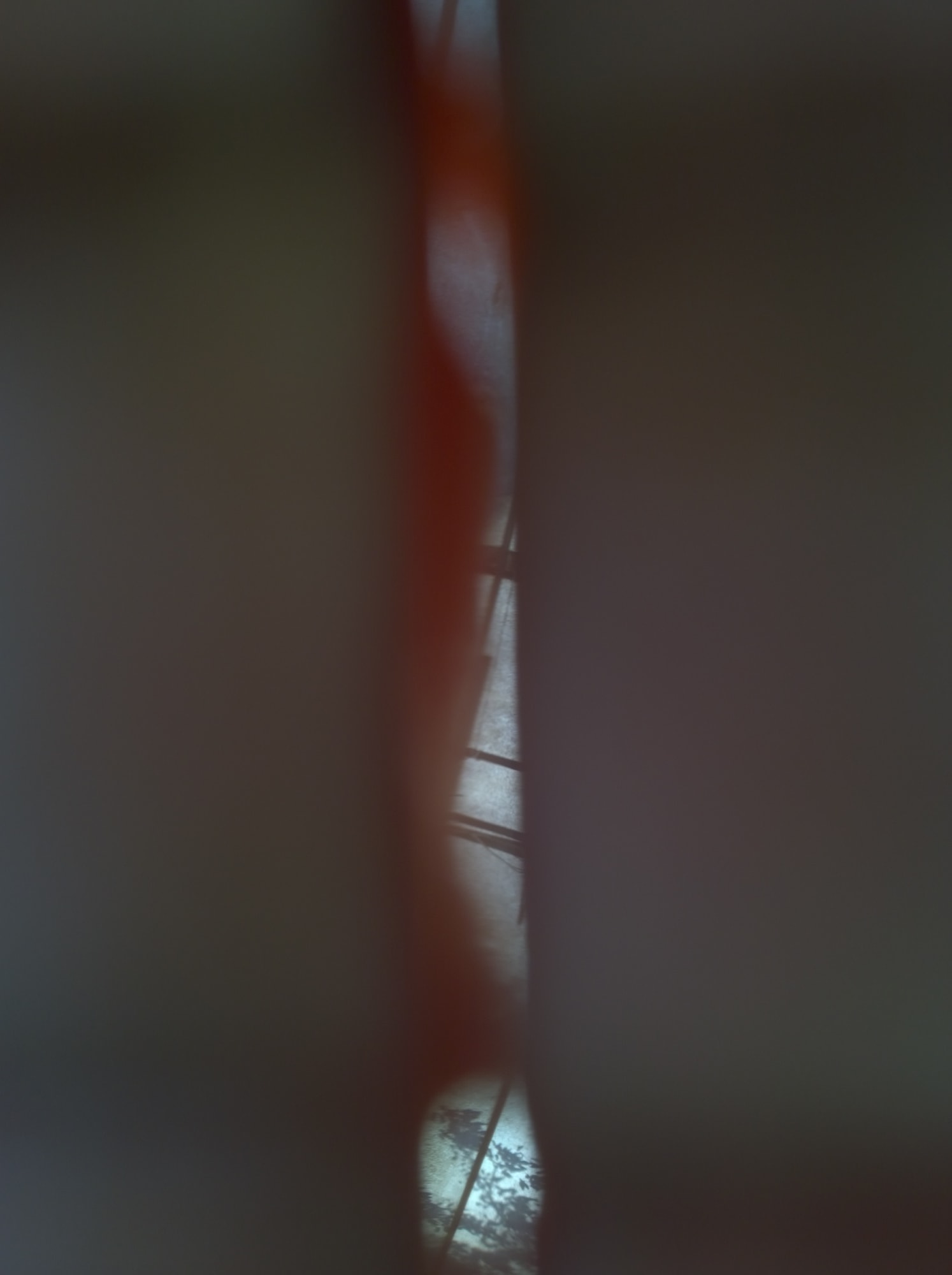 Mehran Mohajer, Untitled, 2017