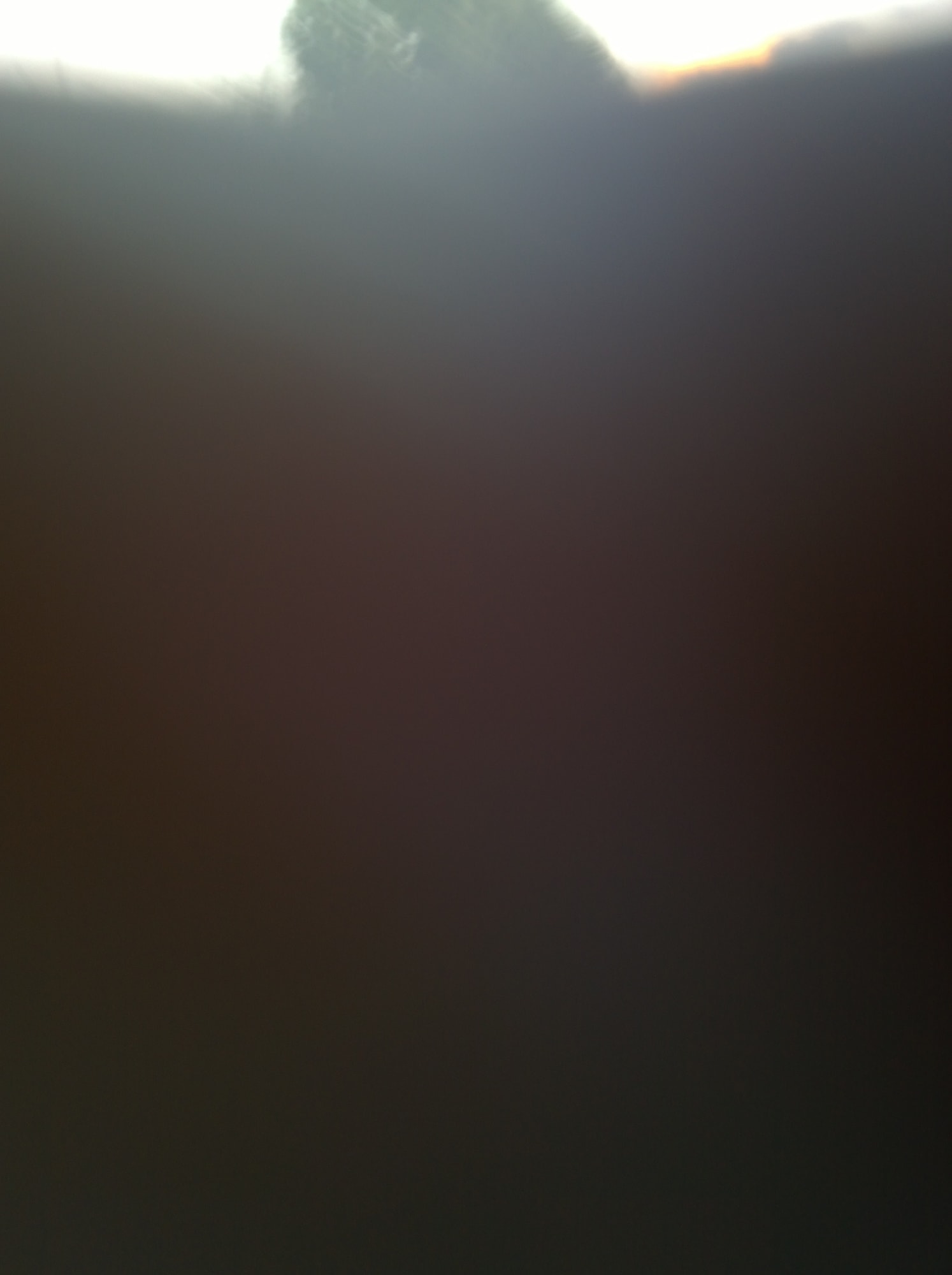 Mehran Mohajer, Untitled, 2017