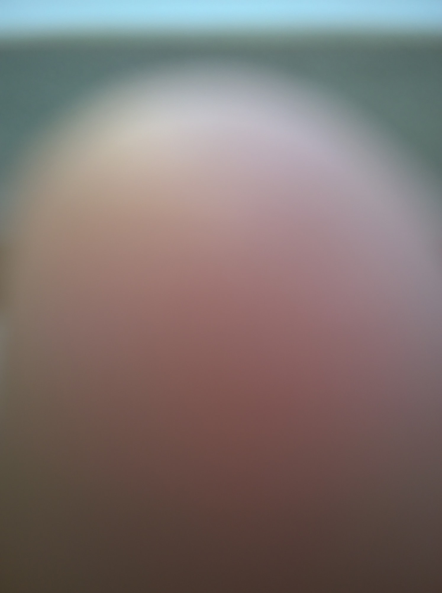 Mehran Mohajer, Untitled, 2017