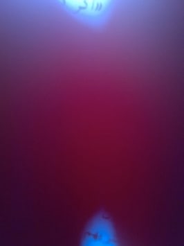 Mehran Mohajer, Untitled, 2017