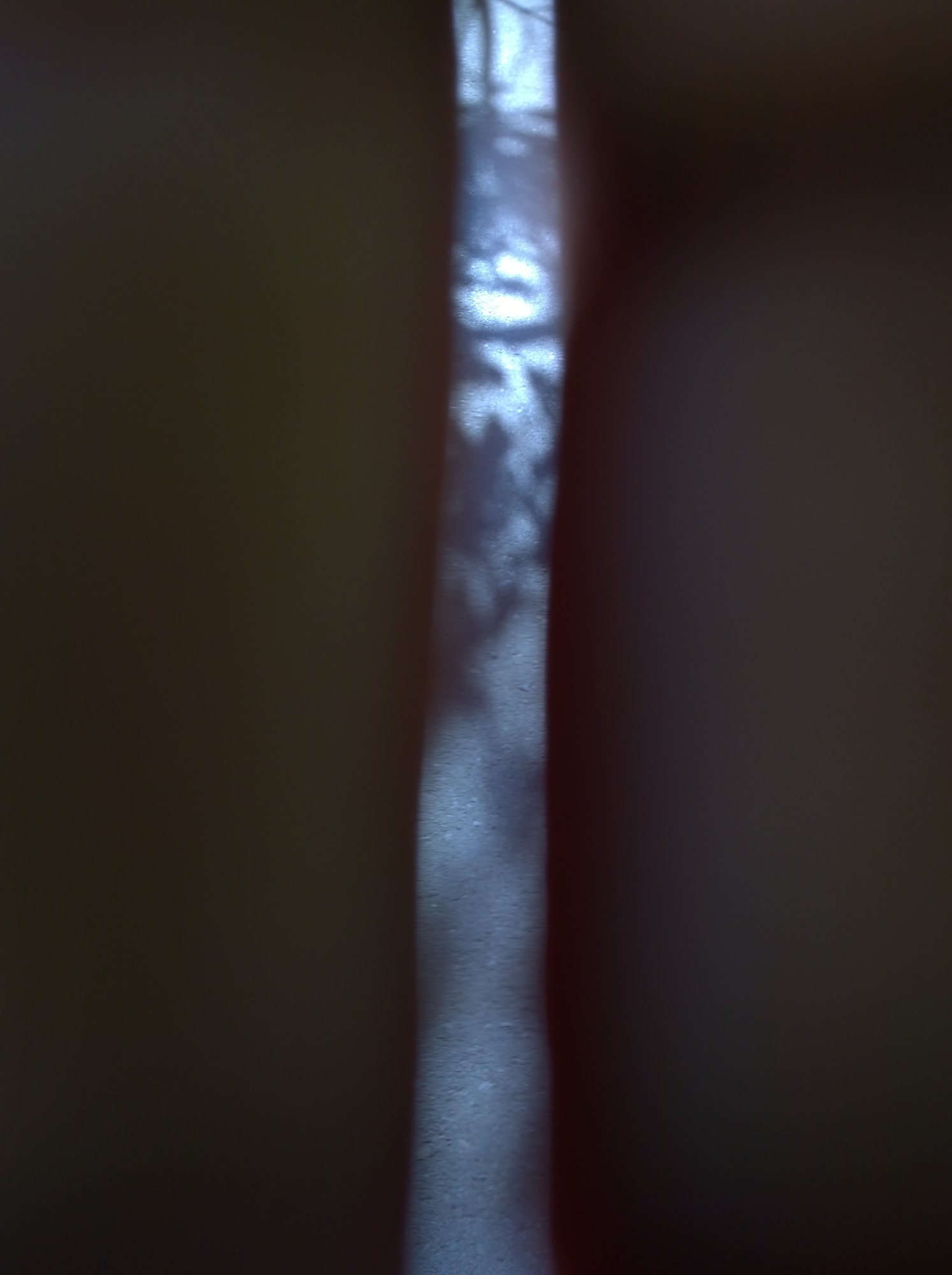 Mehran Mohajer, Untitled, 2017