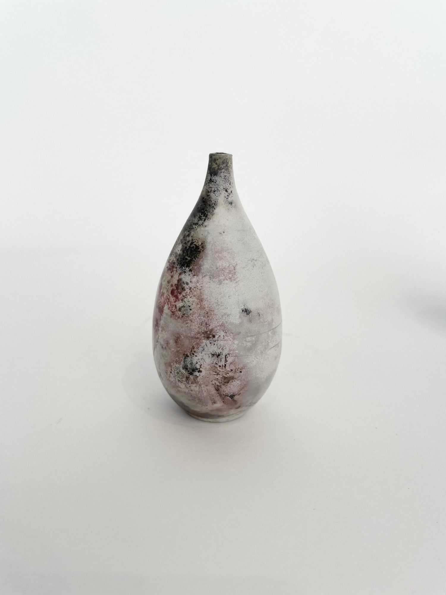 Kit Andrews, Coral, 2022