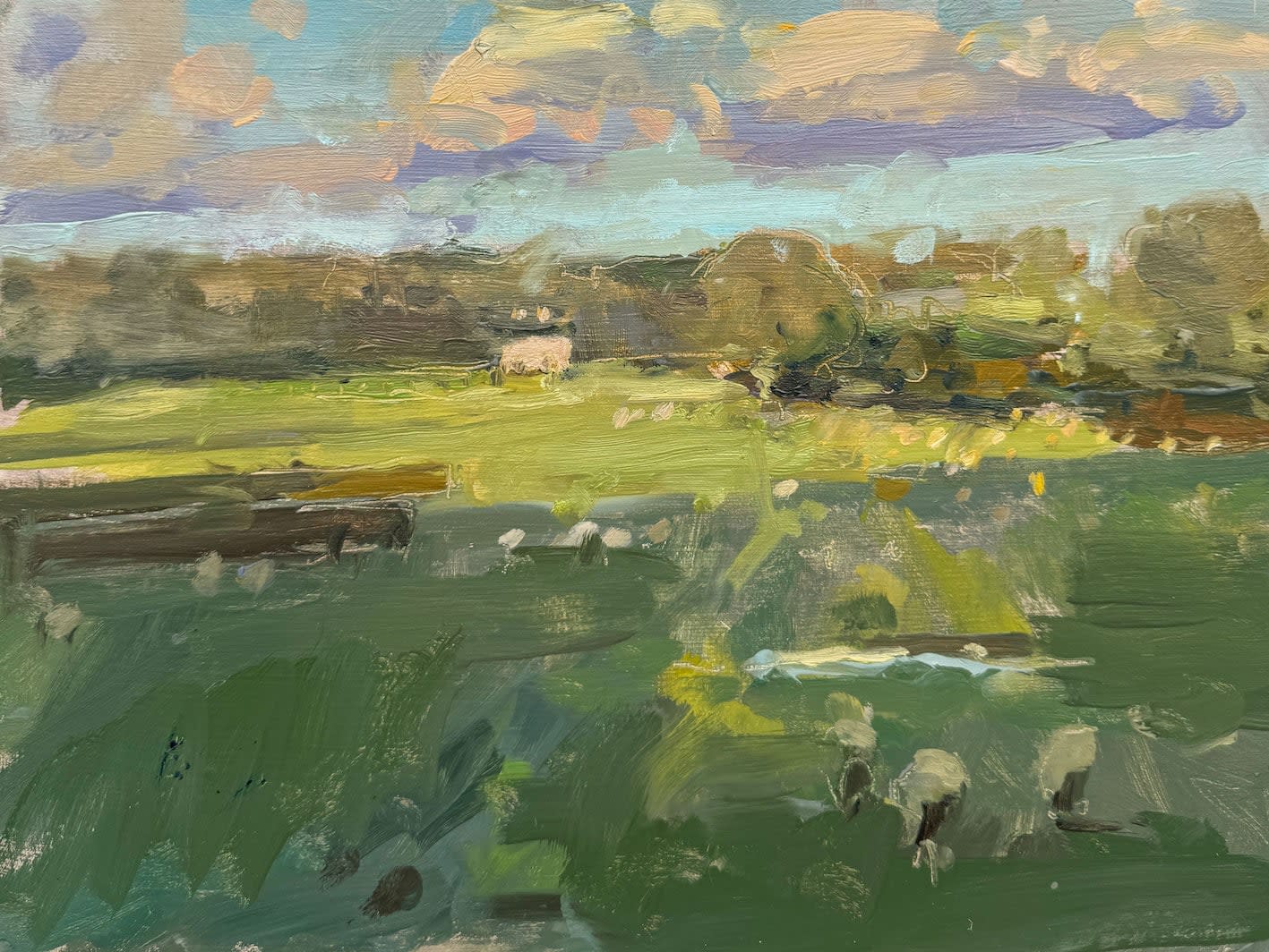 Sarah Manolescue, The White House Yonder