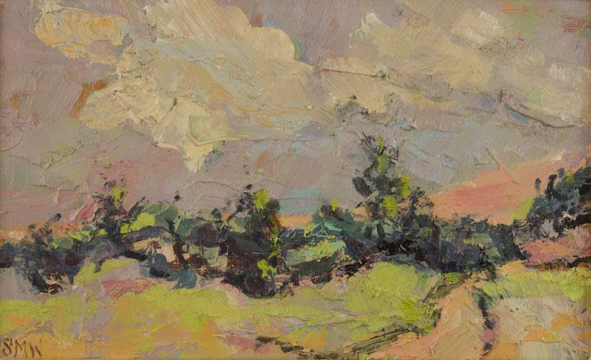 Sue Wales, Pink Path