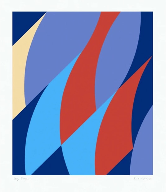 Bridget Riley, Large Fragment, 2006