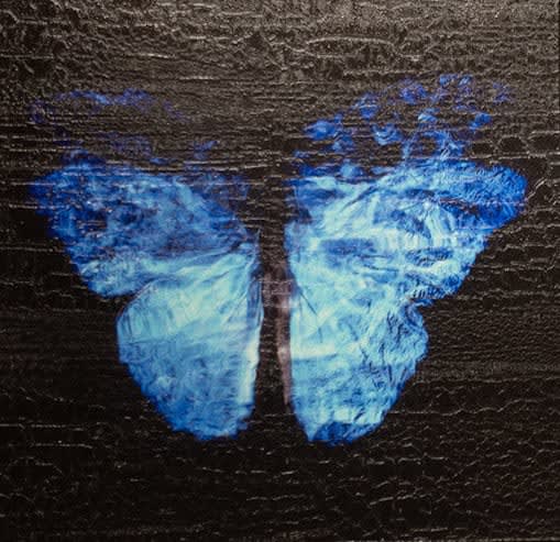 Alexander James Hamilton, Transparency of a Dream [2.0-III], 2019