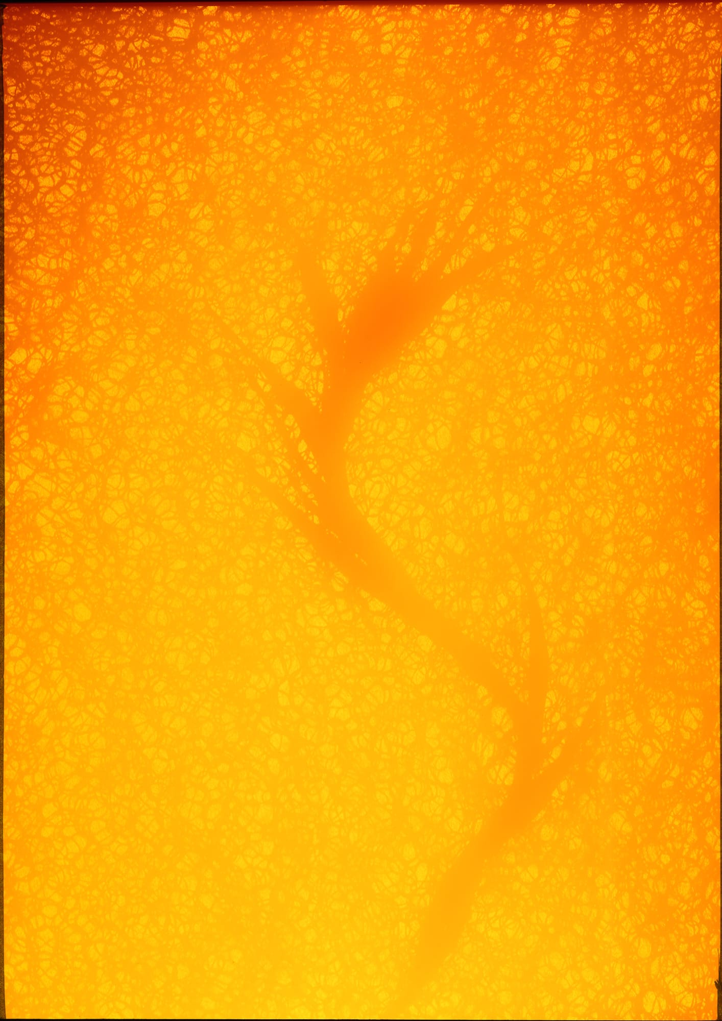 Alexander James Hamilton, Plate [040], 2017-18